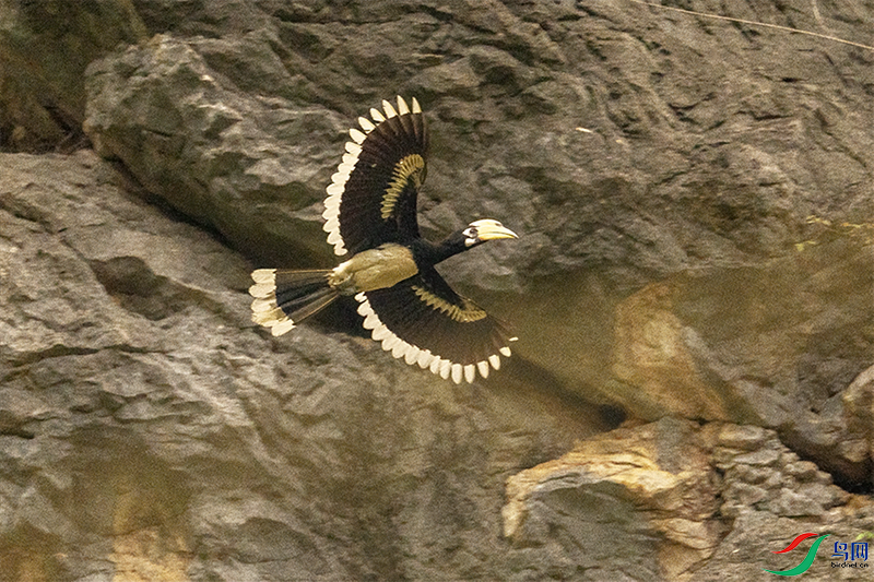 DSC02670.png   0001.png