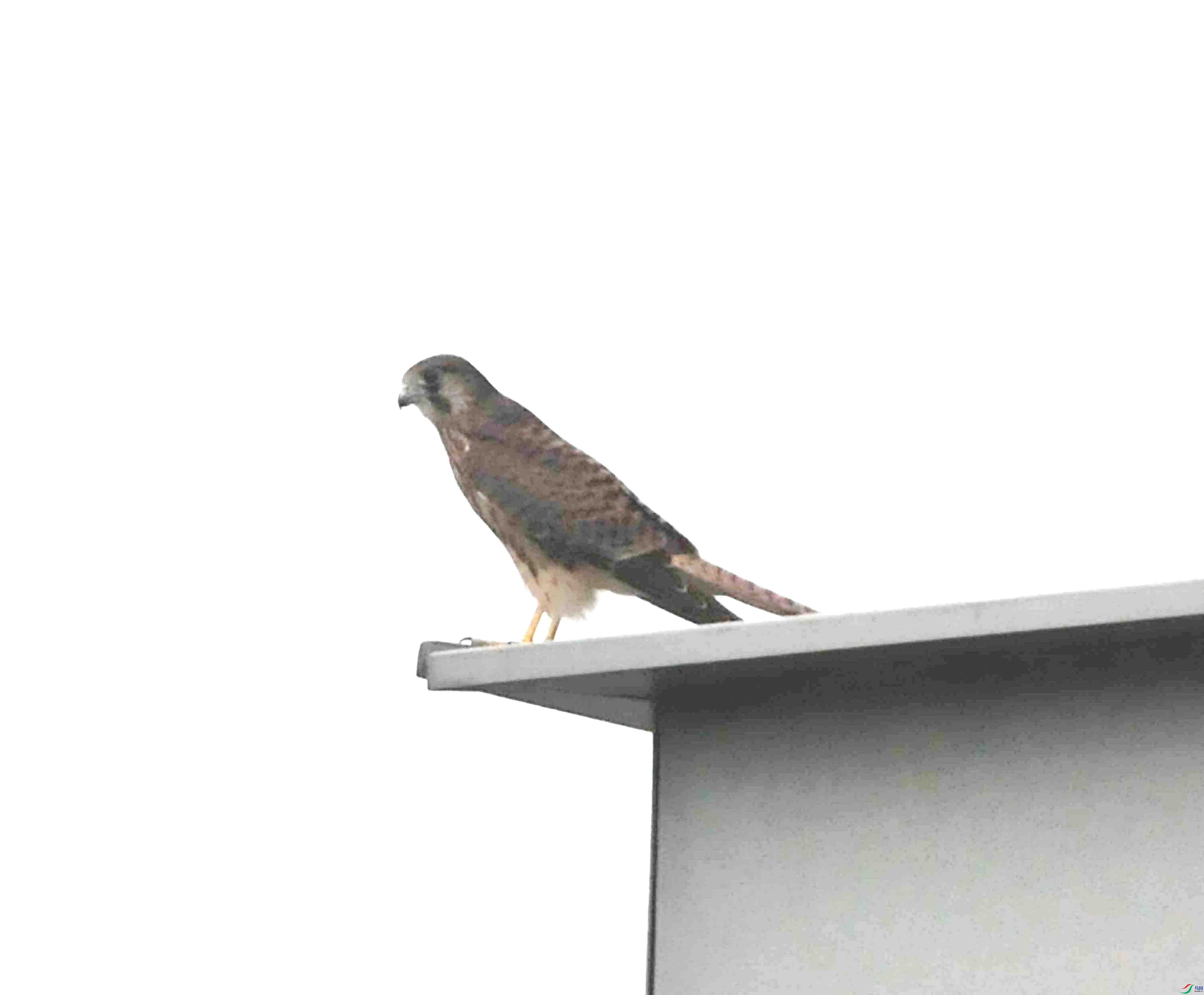 DSC_8764.JPG