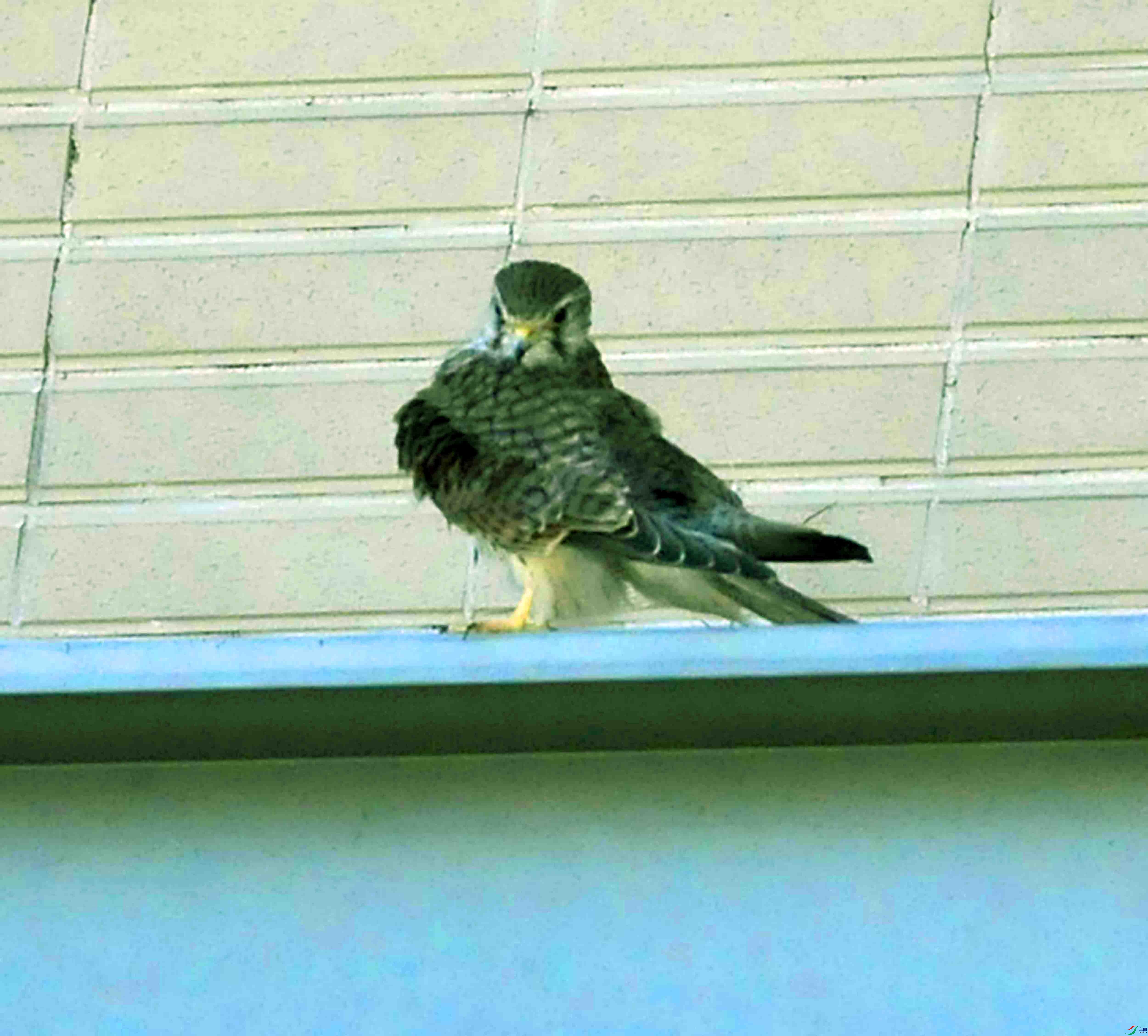DSC_8959.JPG