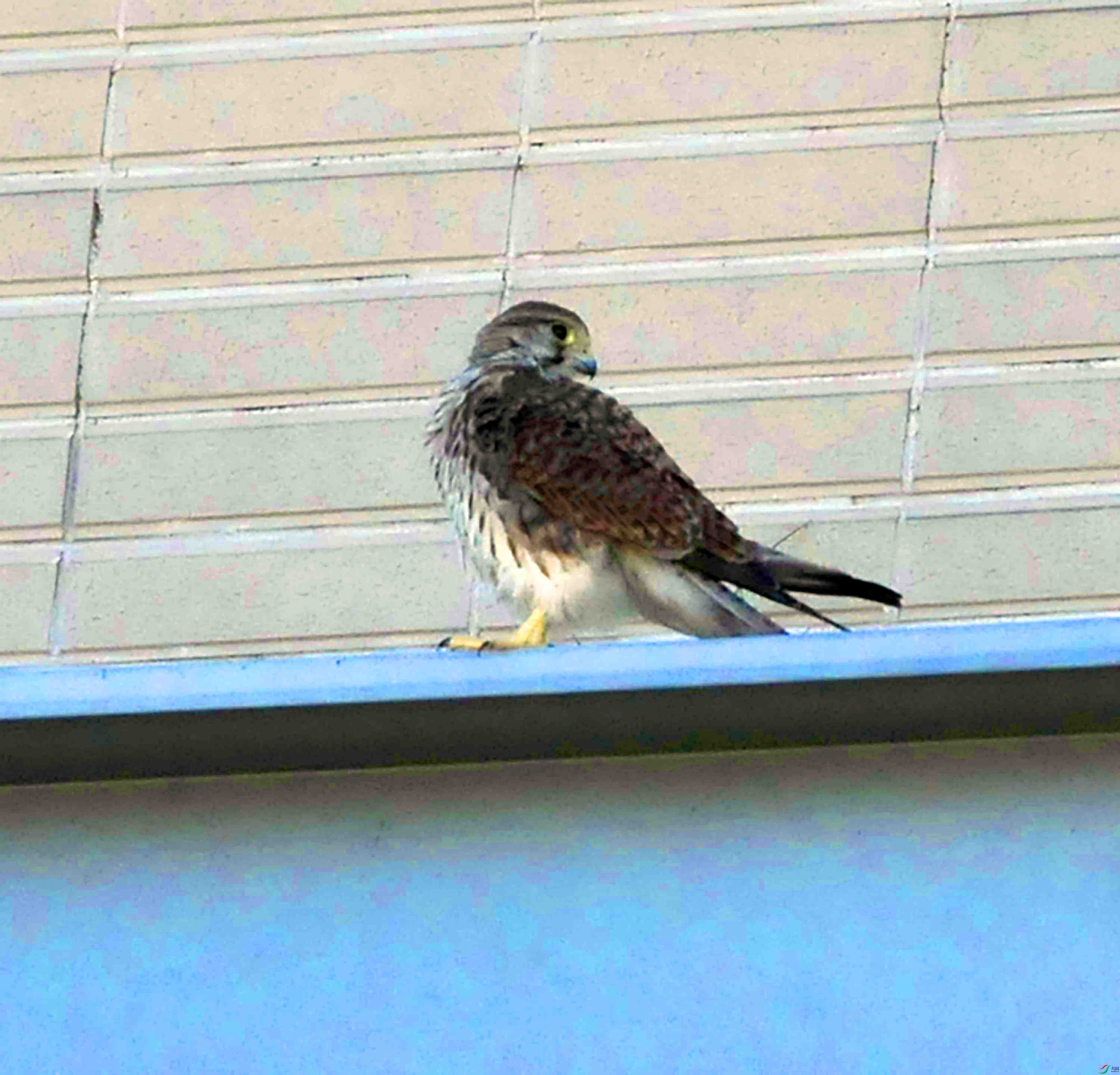 DSC_8963.JPG