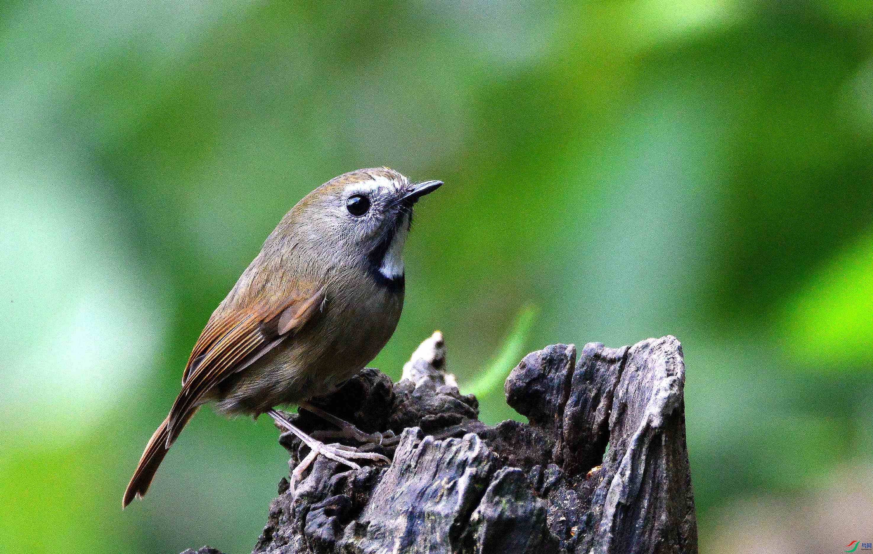 DSC_9576.JPG