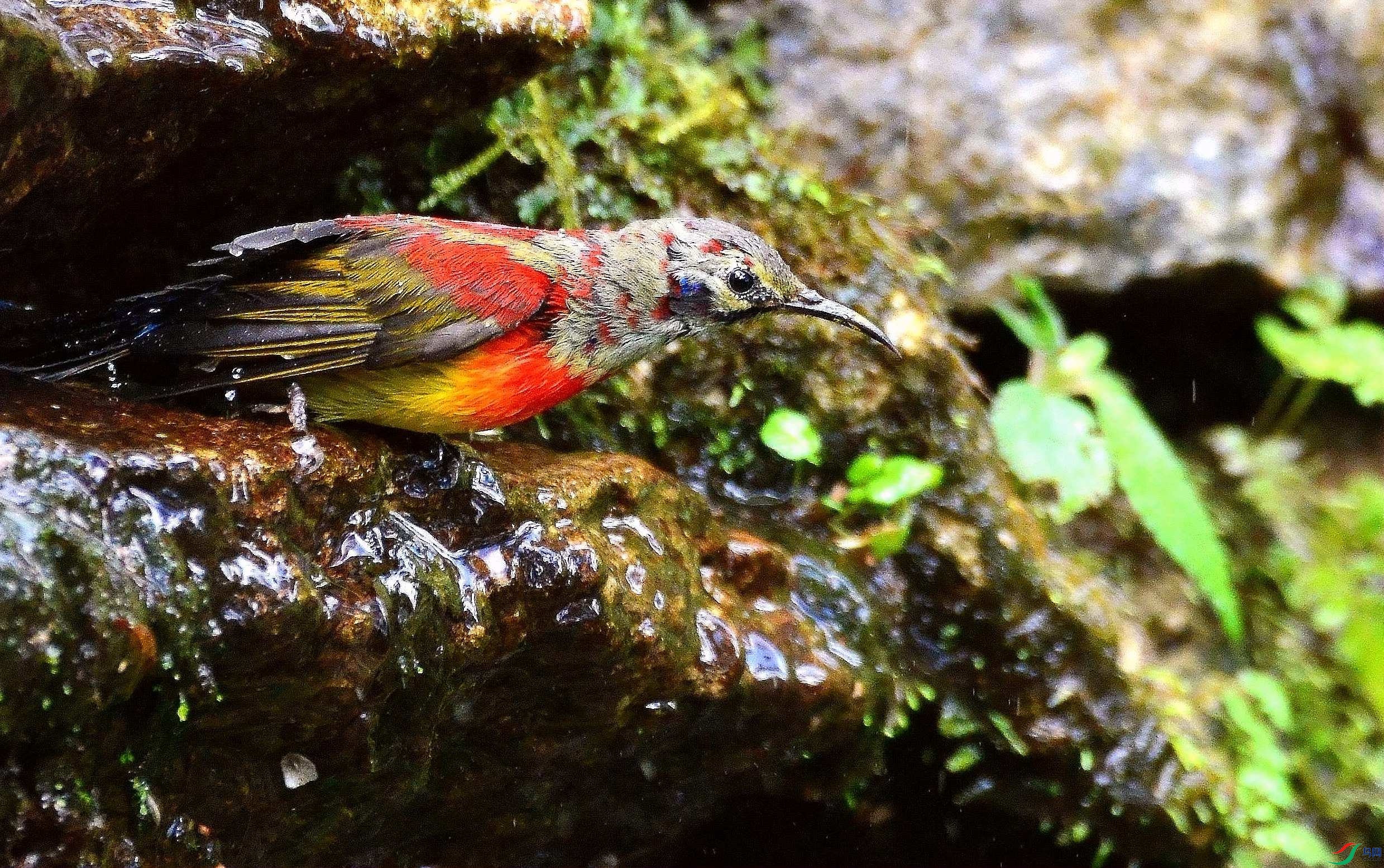 DSC_1208.JPG