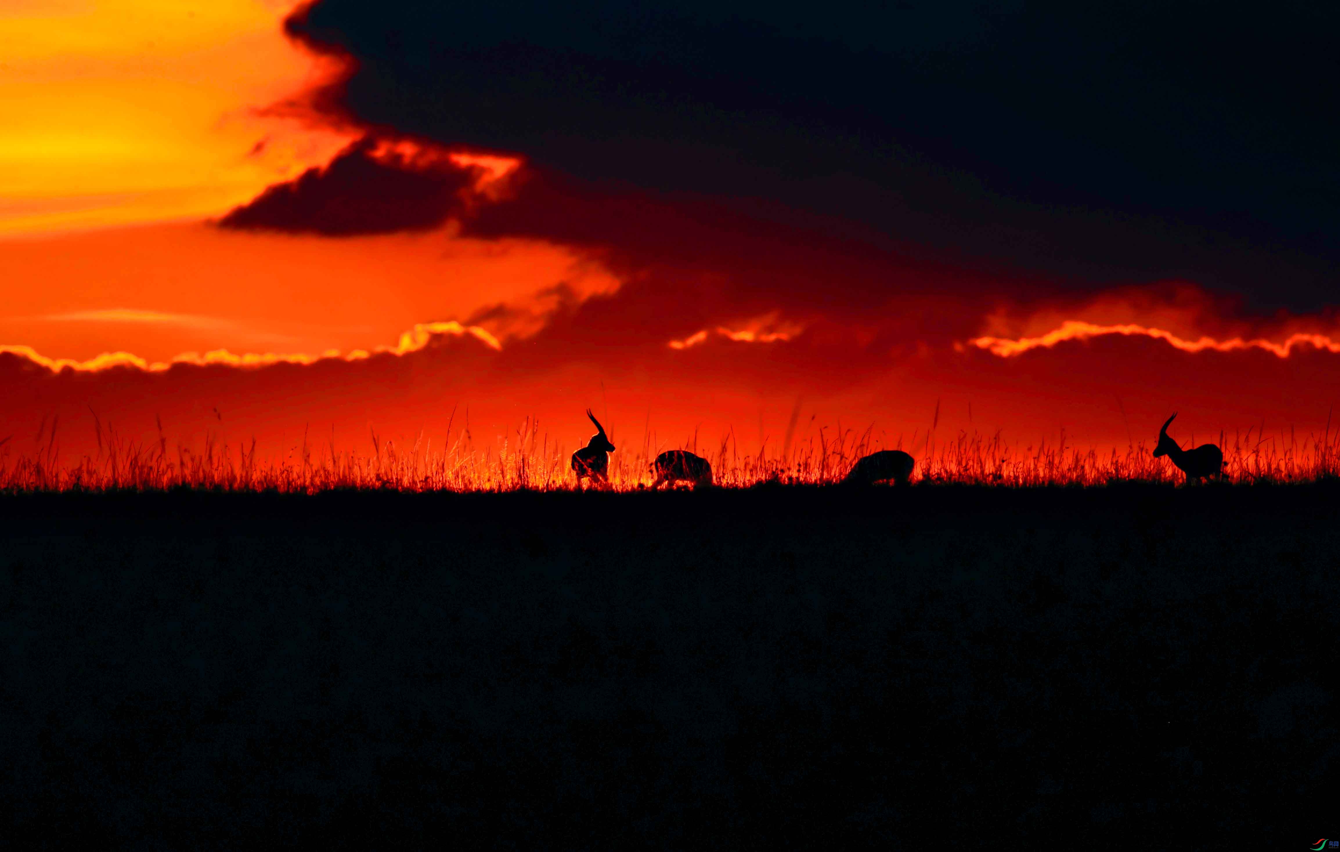 ���ߵ���2.jpg
