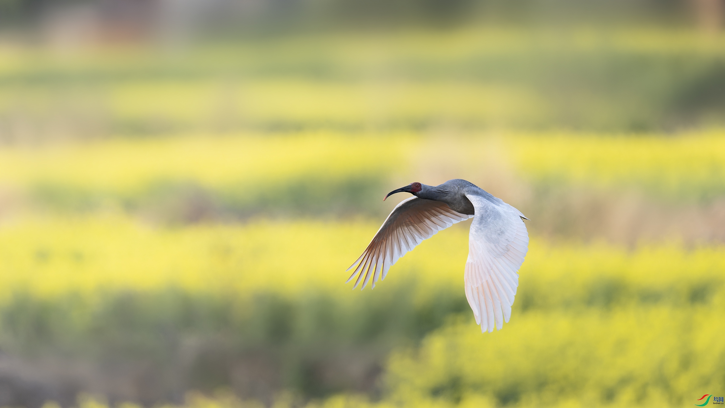 _DSC7285_DxO.jpg