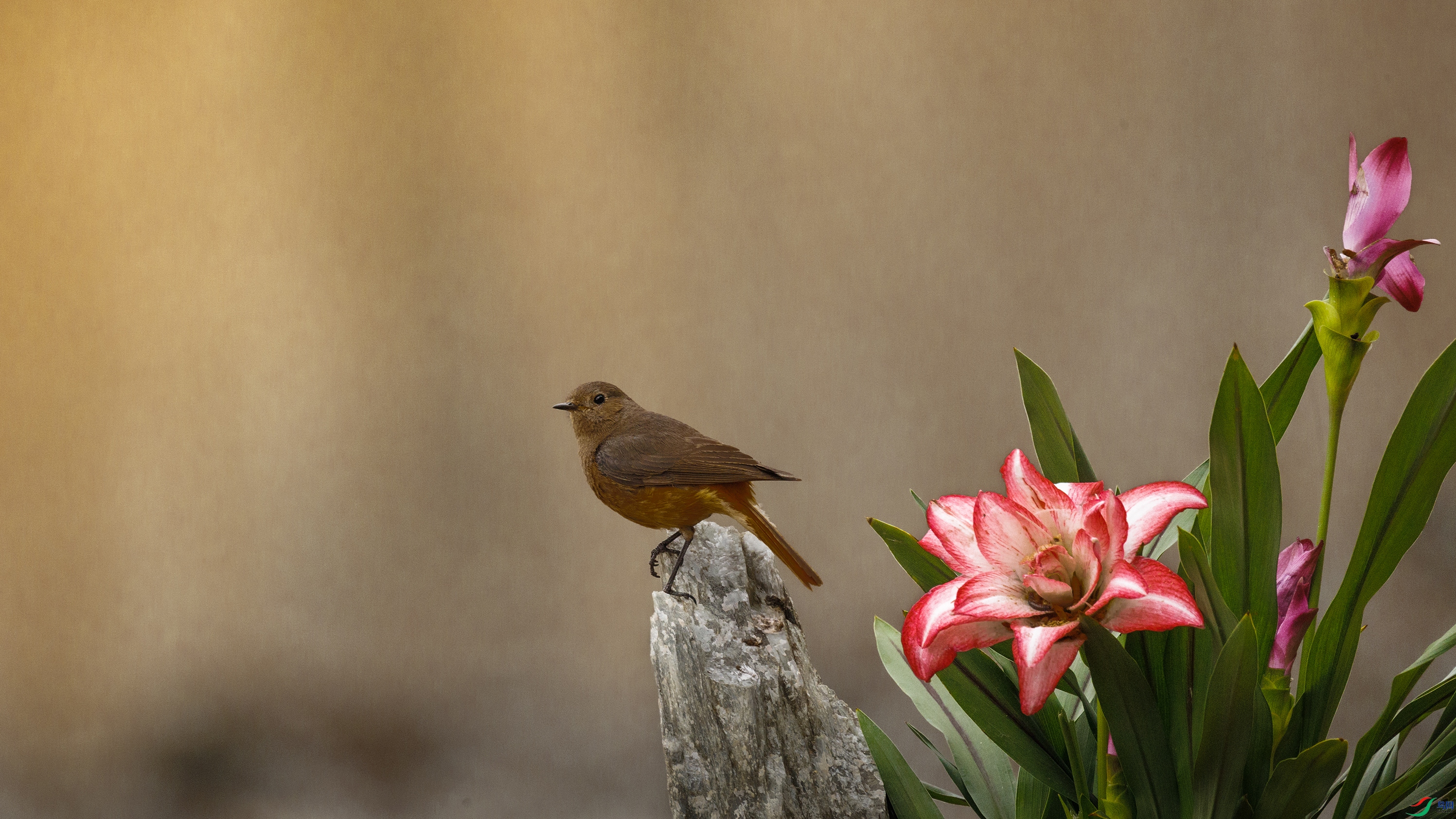 7X5A2920 ����222.jpg