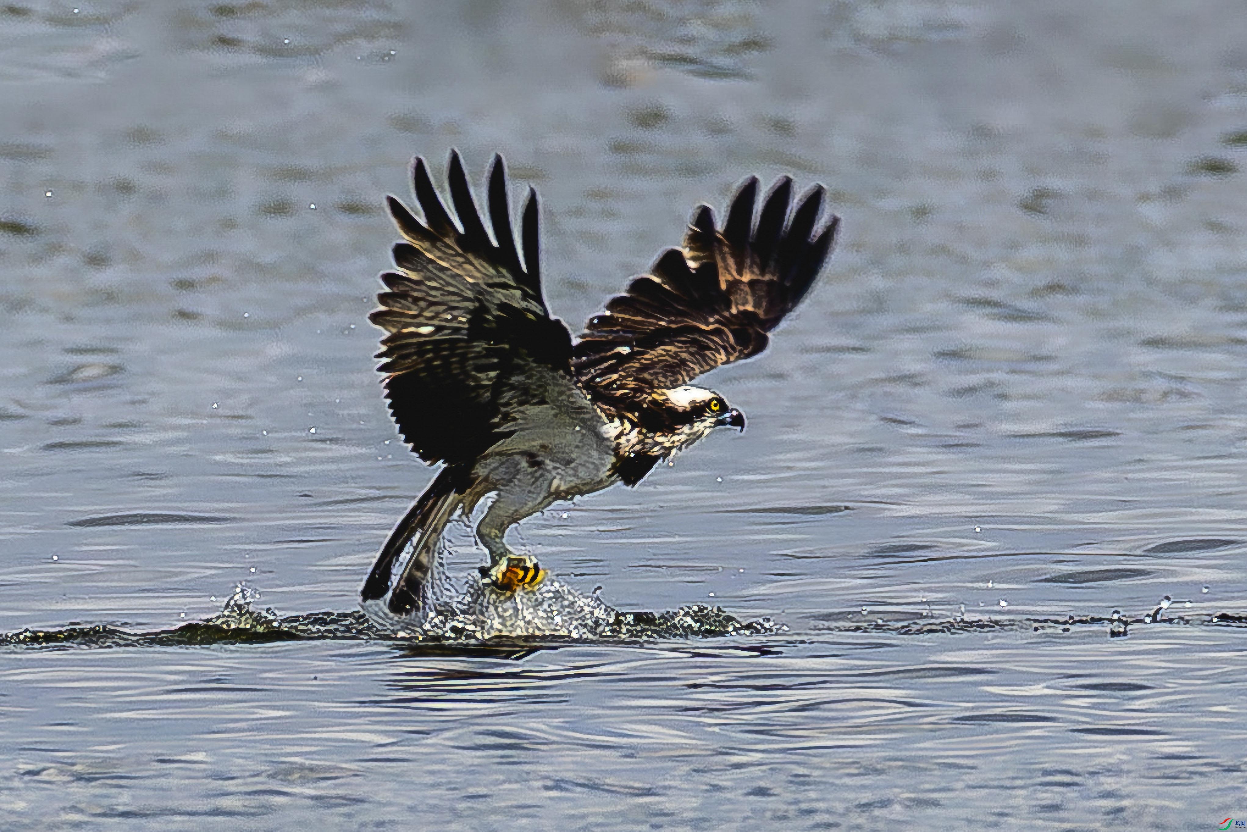 4Z6A2203.jpg