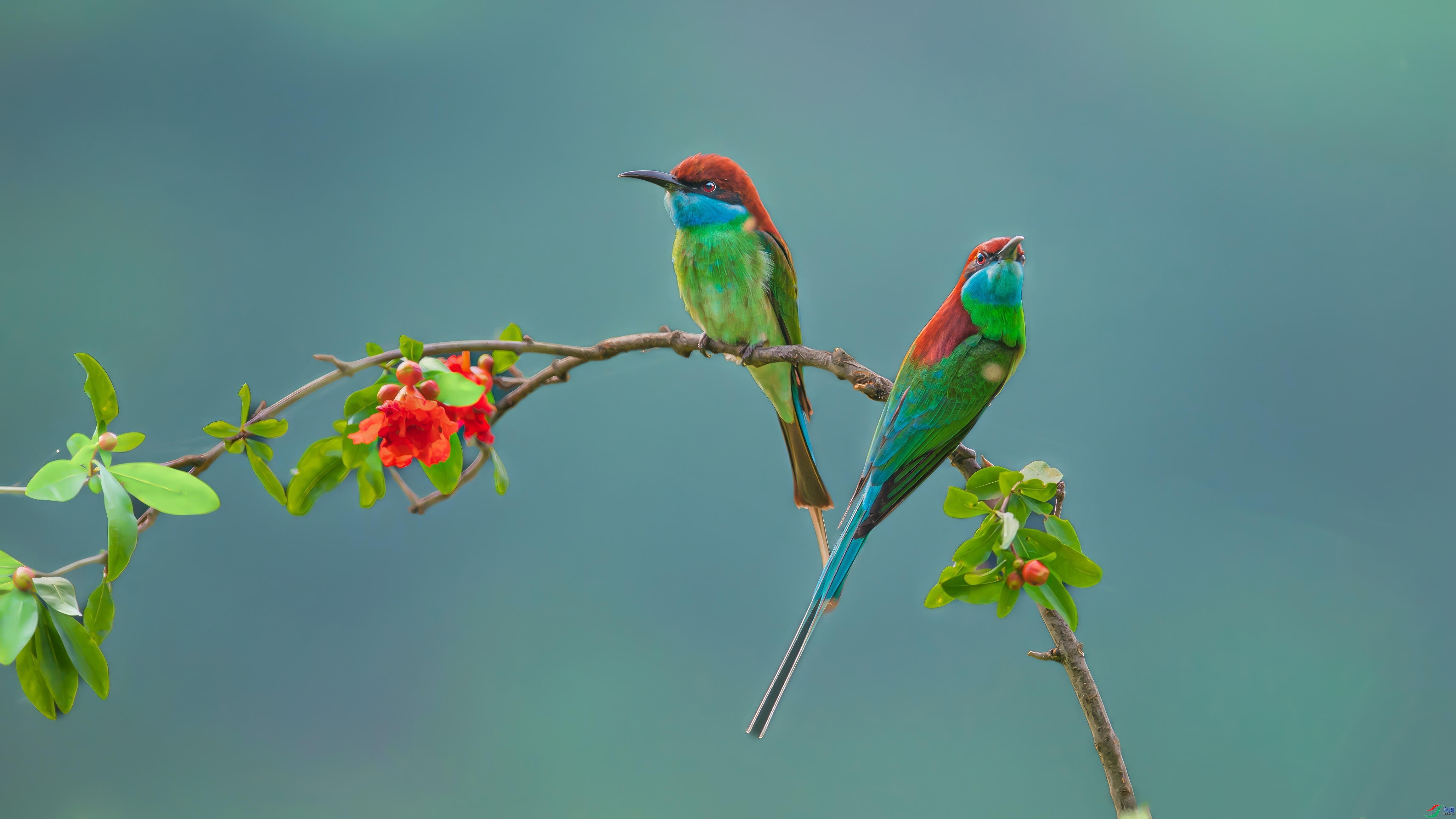 ���������˫��  ���� СС�ո� ����.jpeg