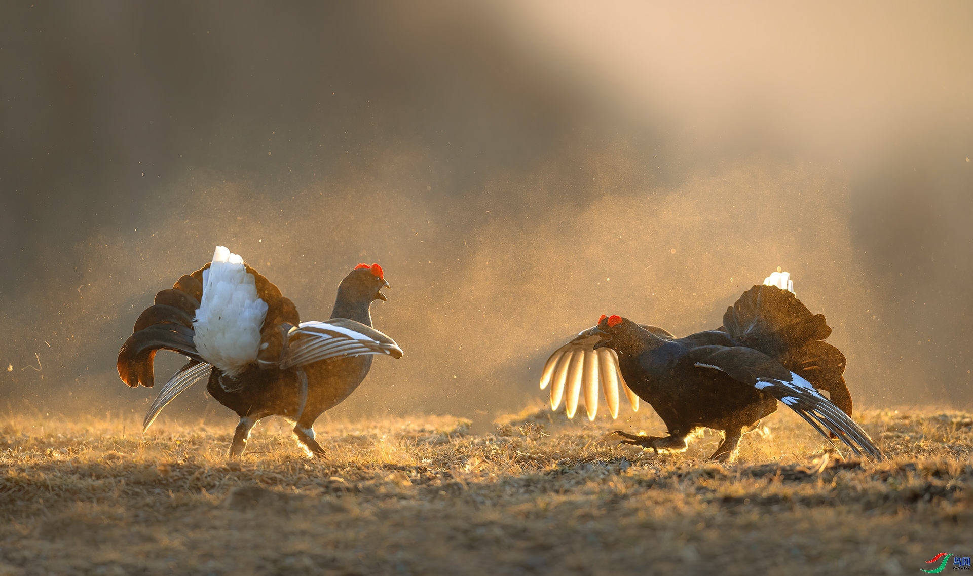 ׼��ս�� ���� �������� ����.jpg