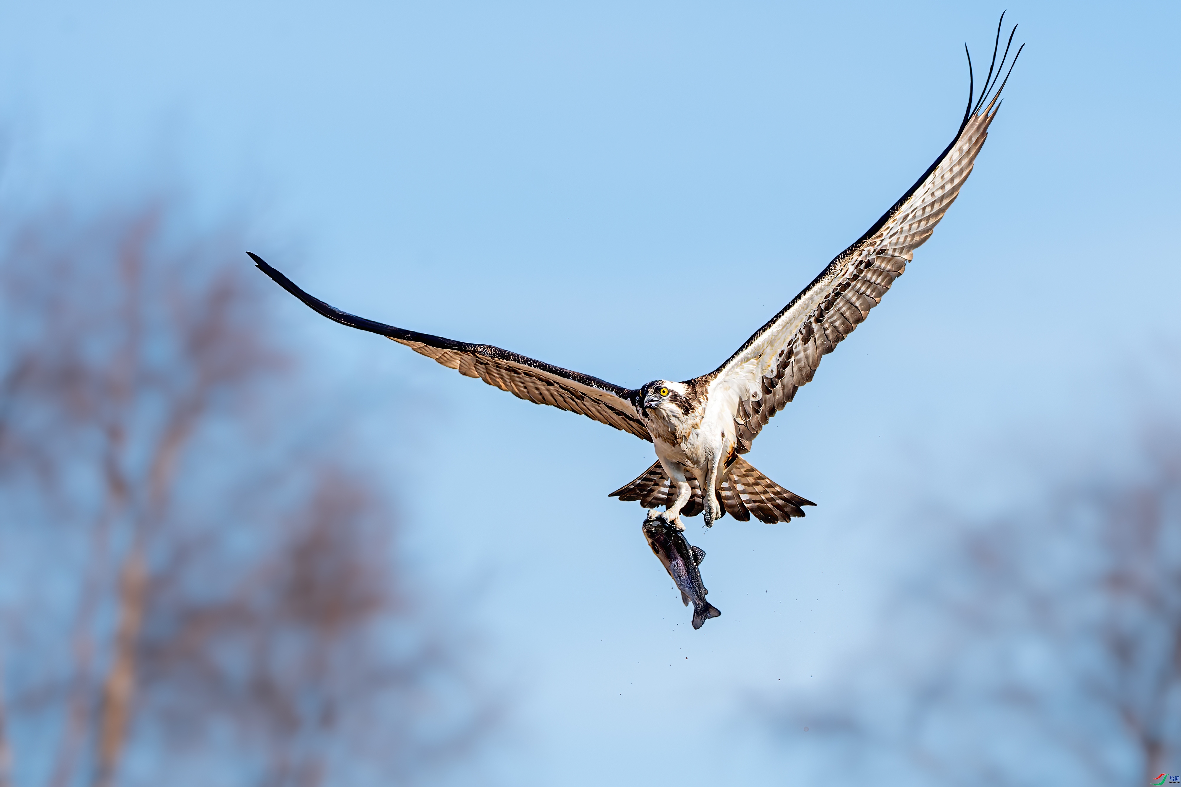 ���ض��� ���� ���� ����.jpg