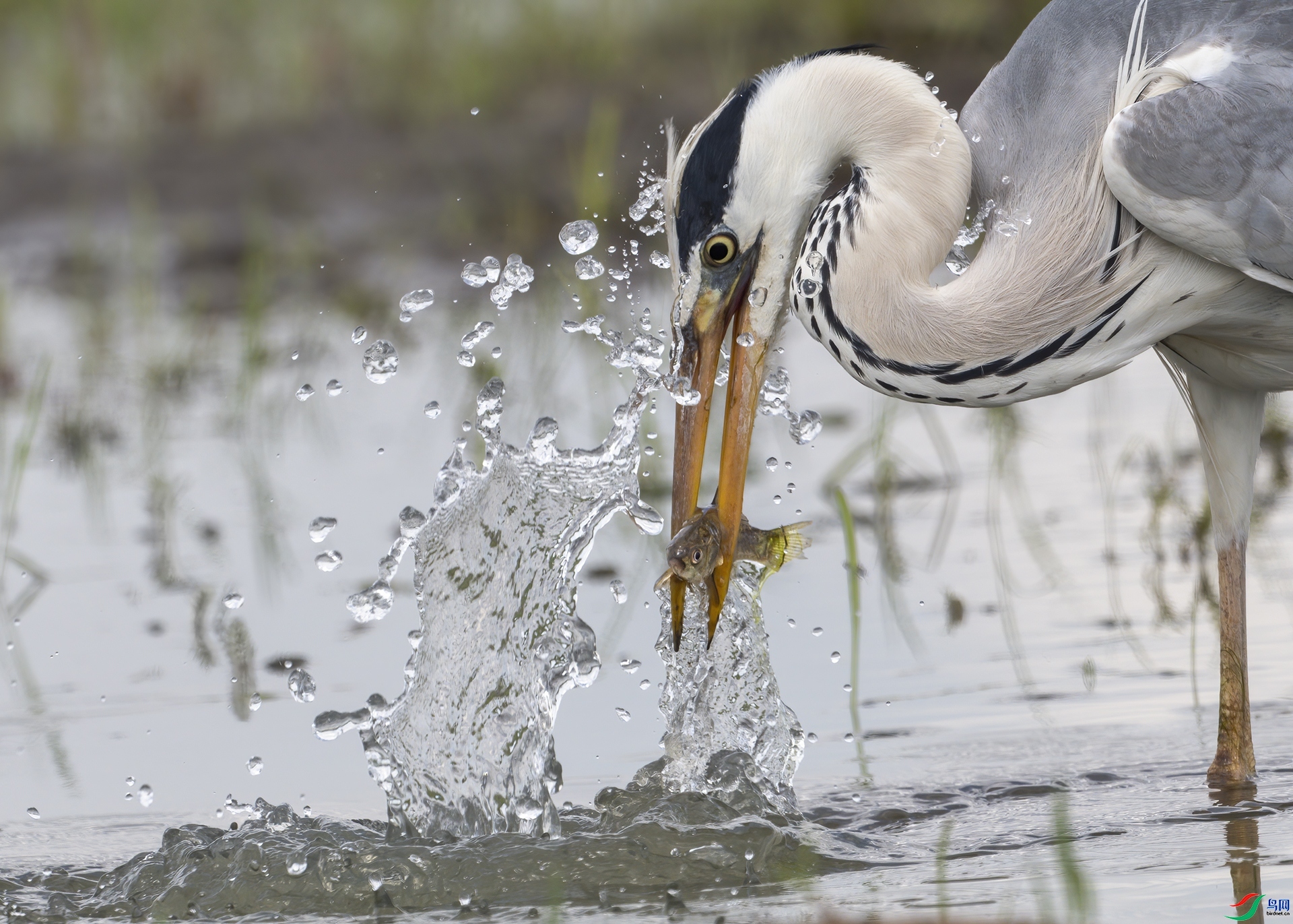 ���ڲ��� ���� ���� ����.jpg