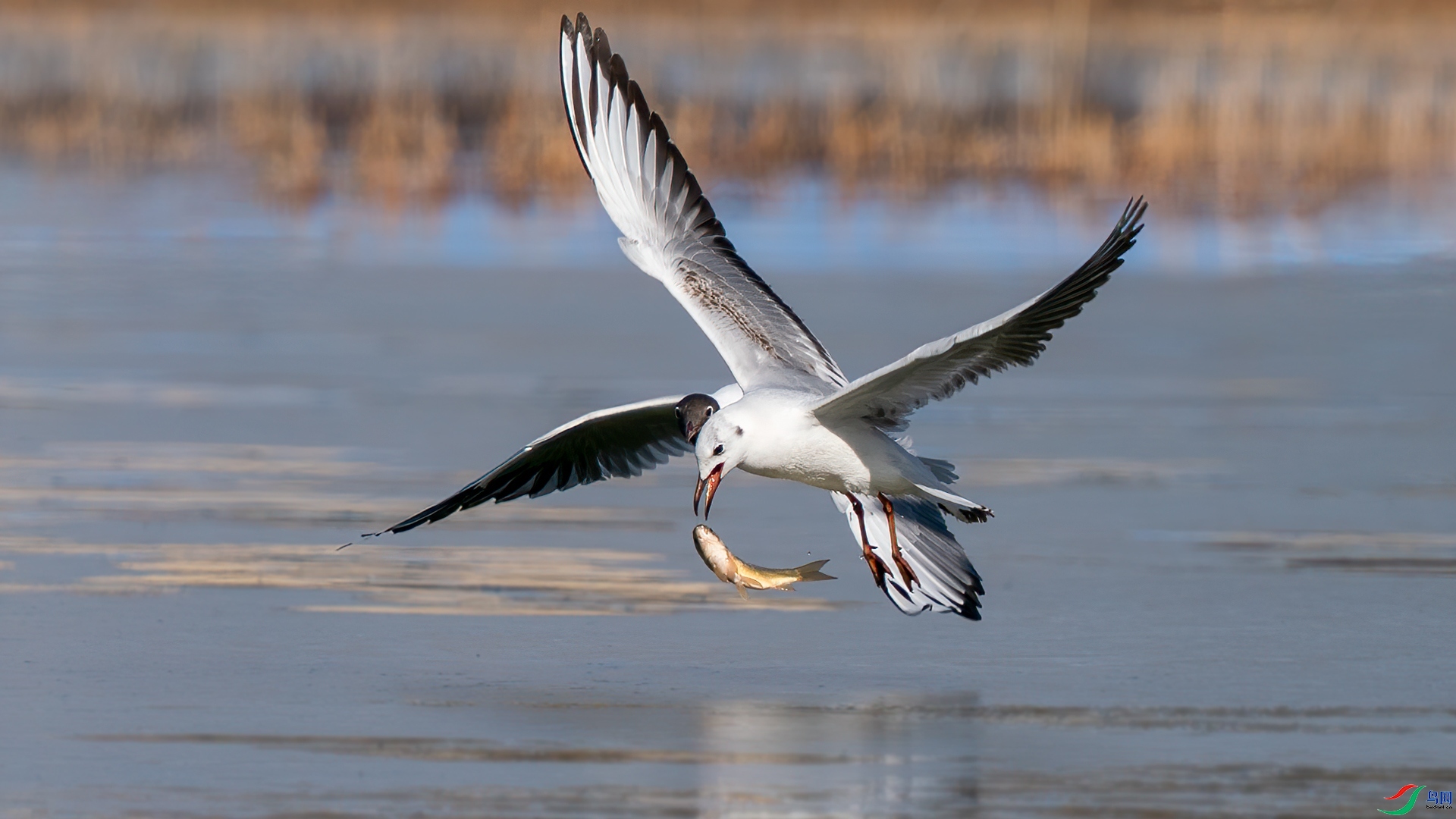 ���л����� ���� �������� ����.jpg