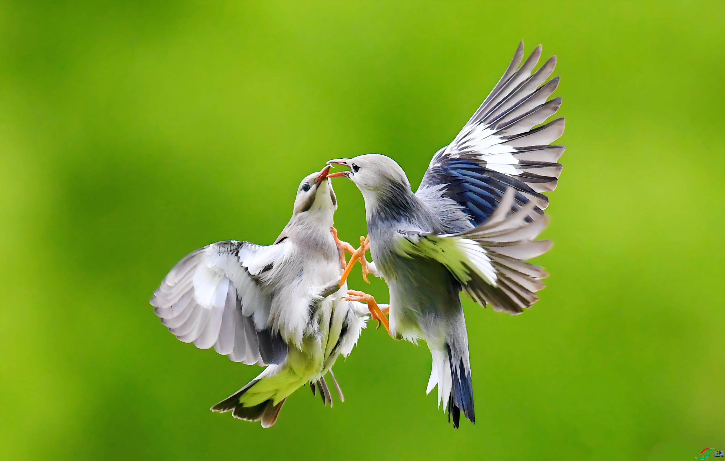 �����һ����  ���� ����뻳 ����.png