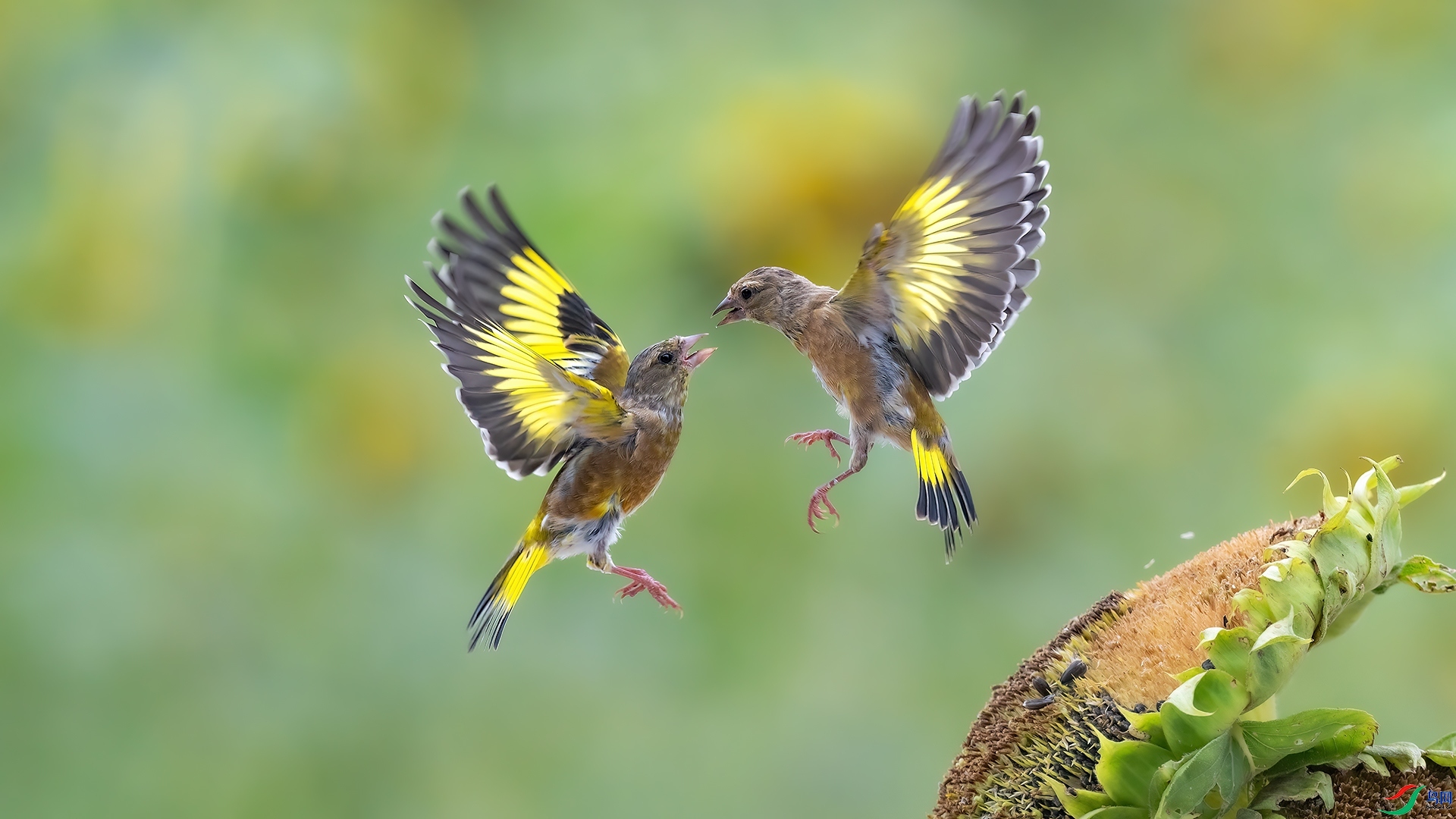 ���� ���� ƽ�� ����.jpg