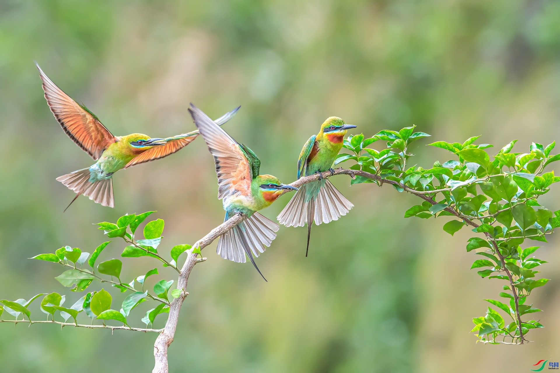 ����֮�� ���� ����ǿ ����.jpg