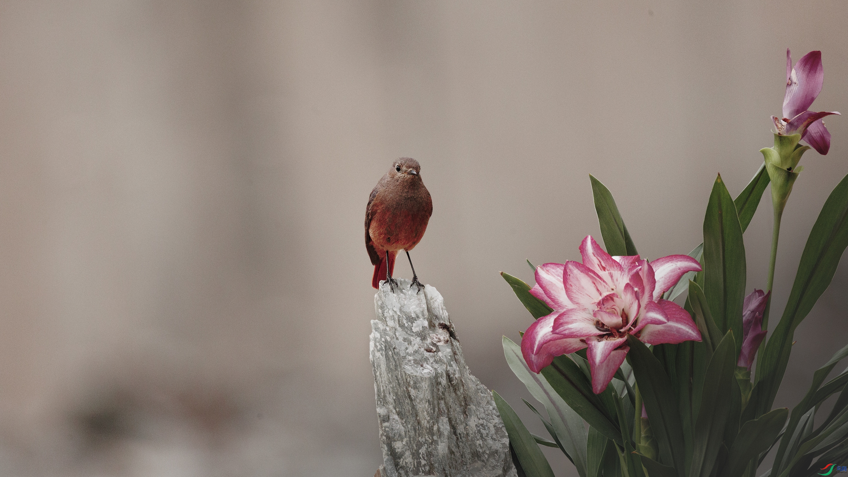 7X5A2912 ����222222.jpg