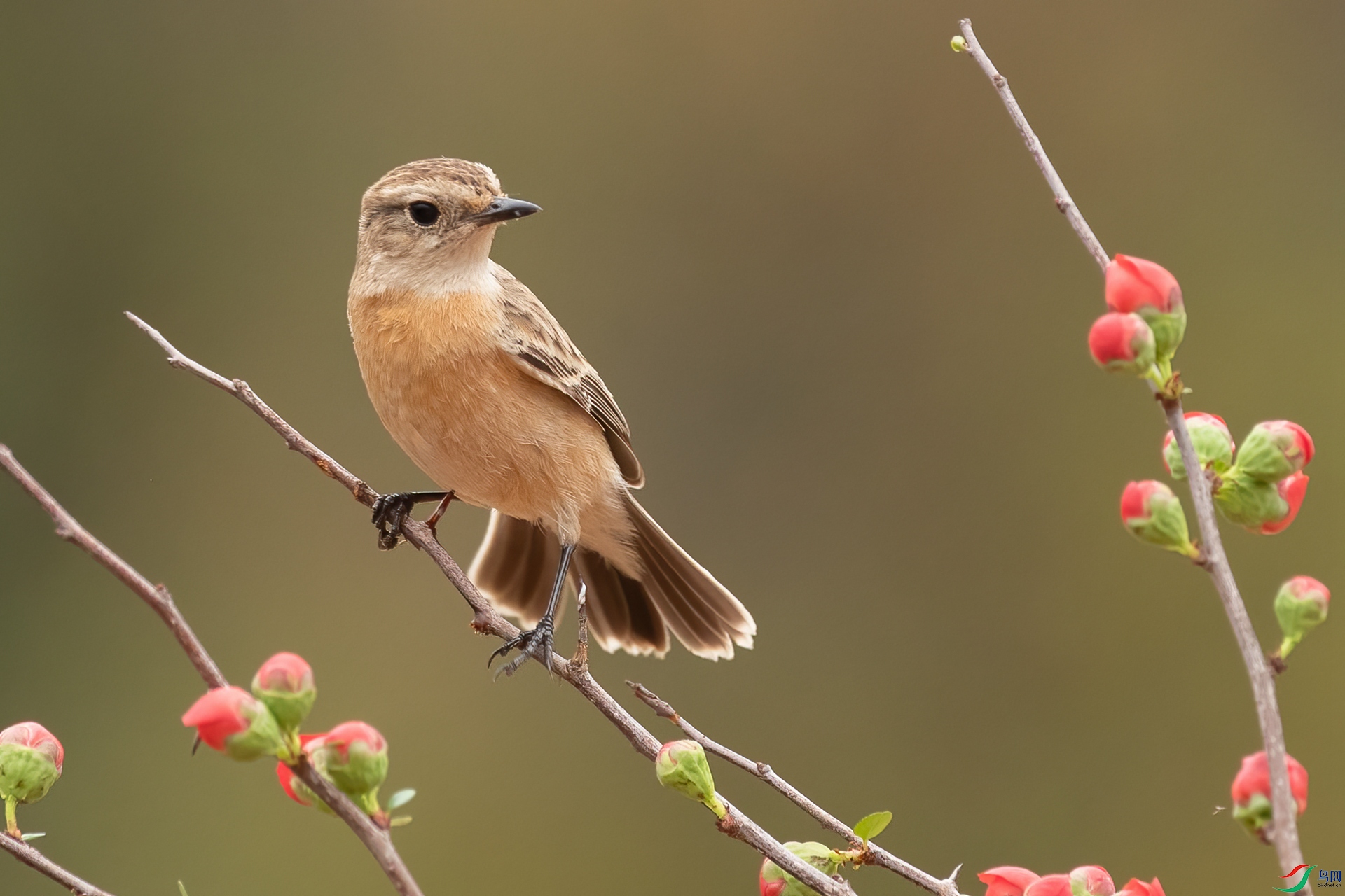 B86I0044 _����.jpg