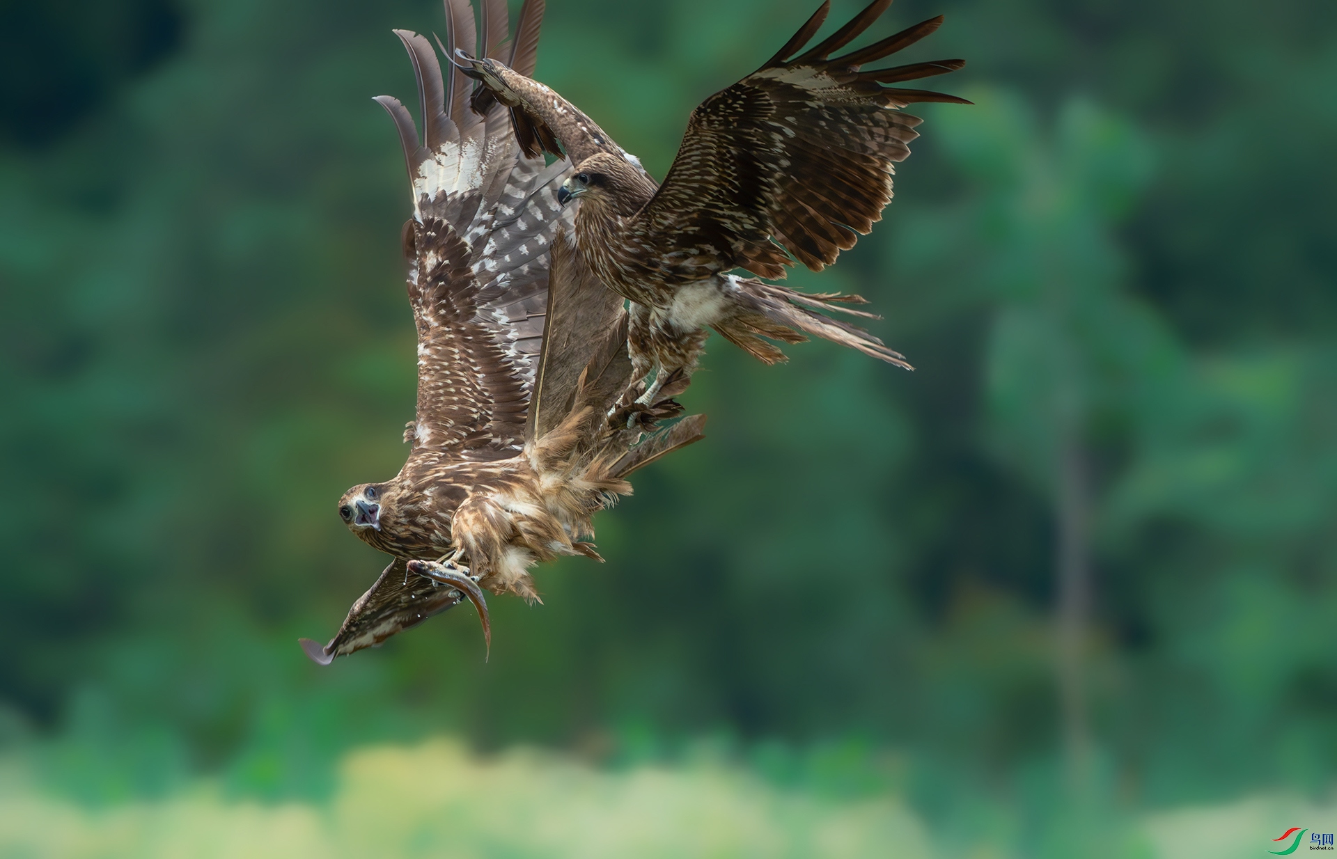 _DSC7050-����ǿ-NR ����.jpg