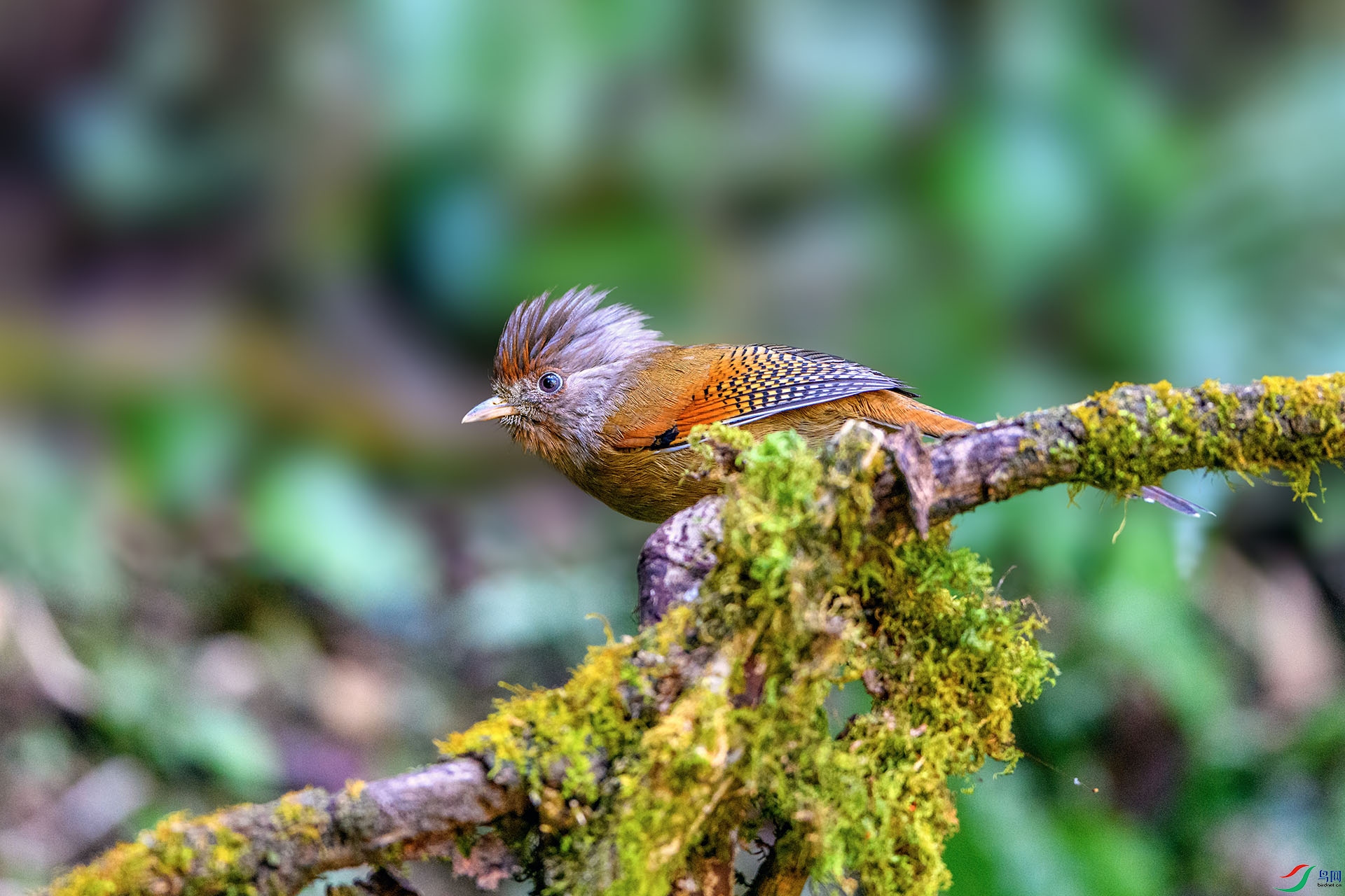 ��_AUU5228�����߳���(24.2.18)-1.jpg