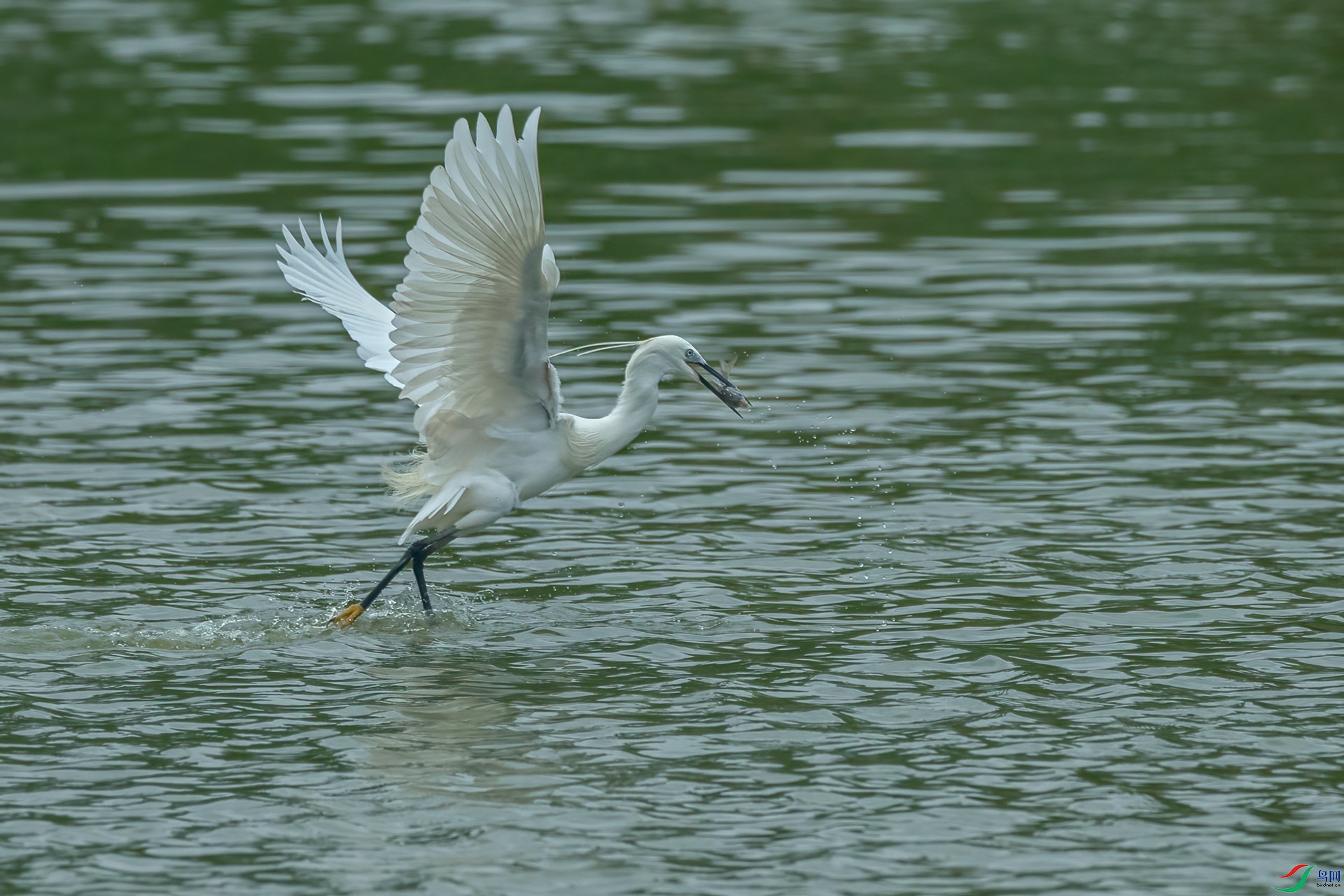 B86I1642 _����.jpg