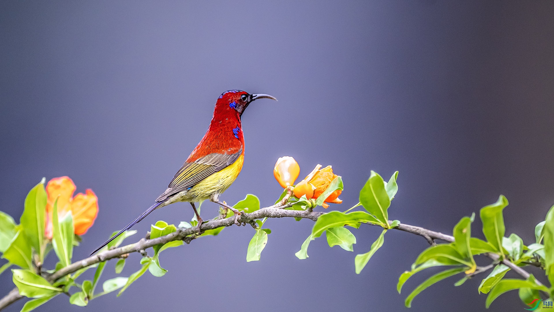 DSC_4817 ����.jpg