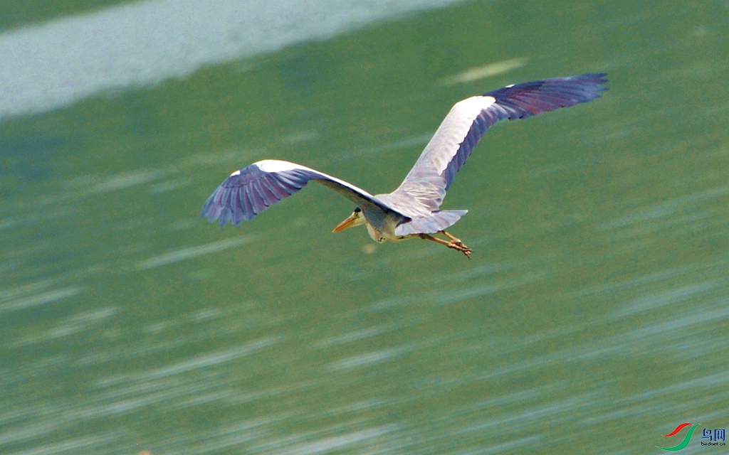 777 (32)_����.jpg