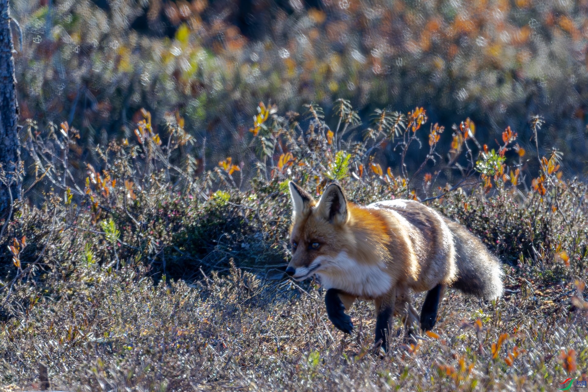 DSC_5425_����.jpg