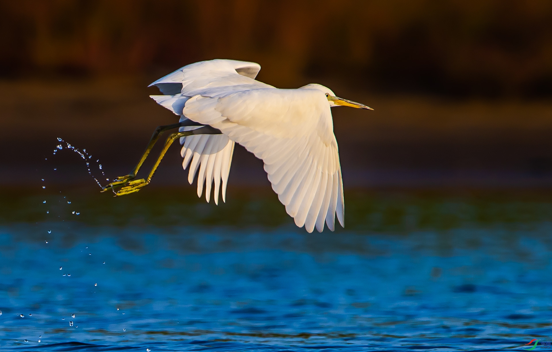_DSC8090.jpg