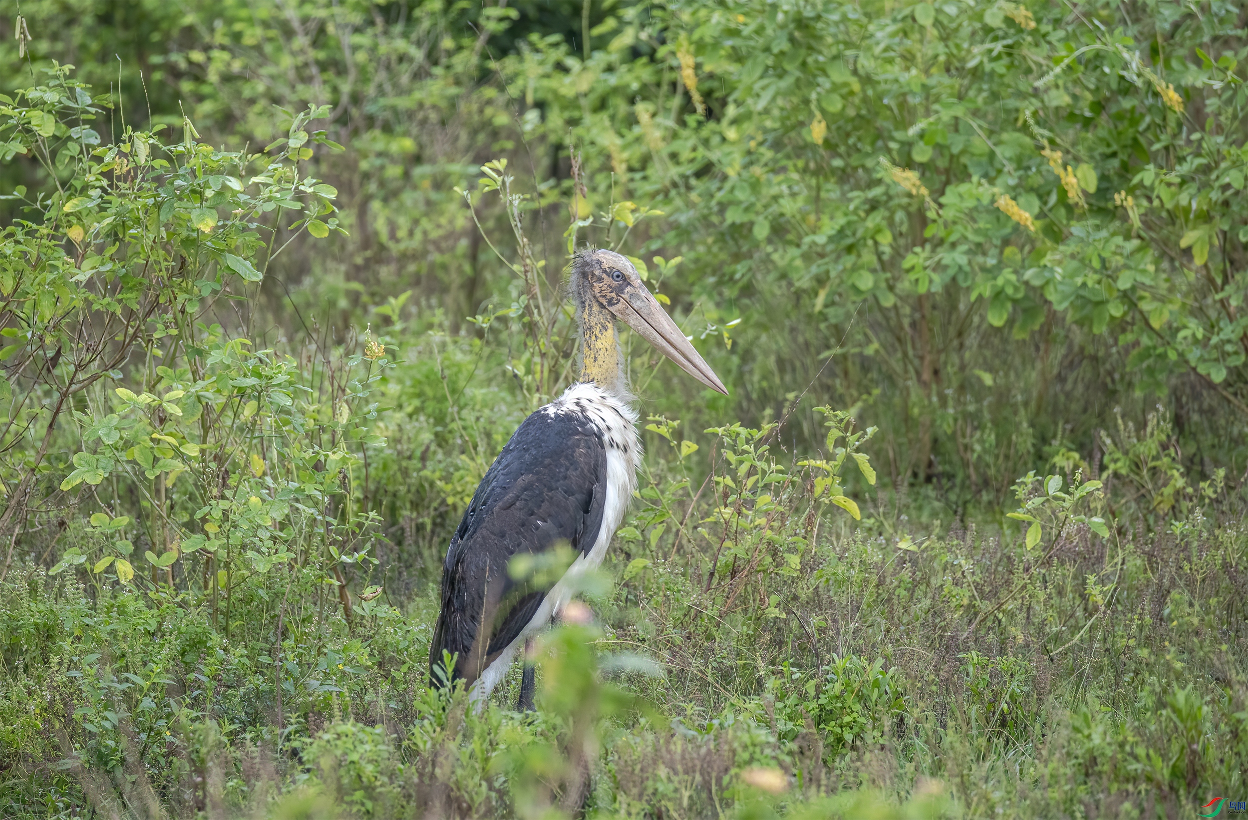 CB0A1042 ����.jpg