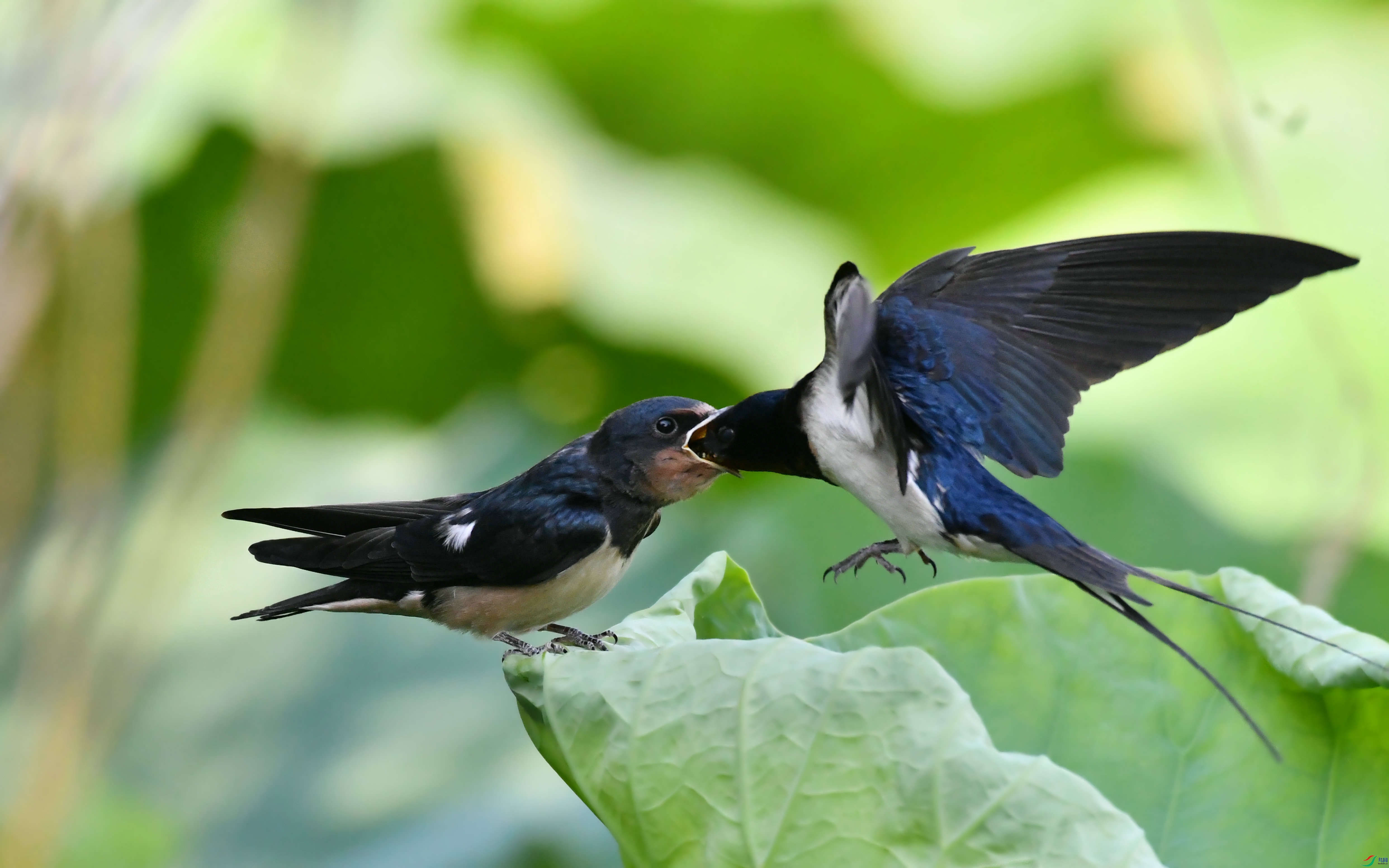 DSC_3722.JPG