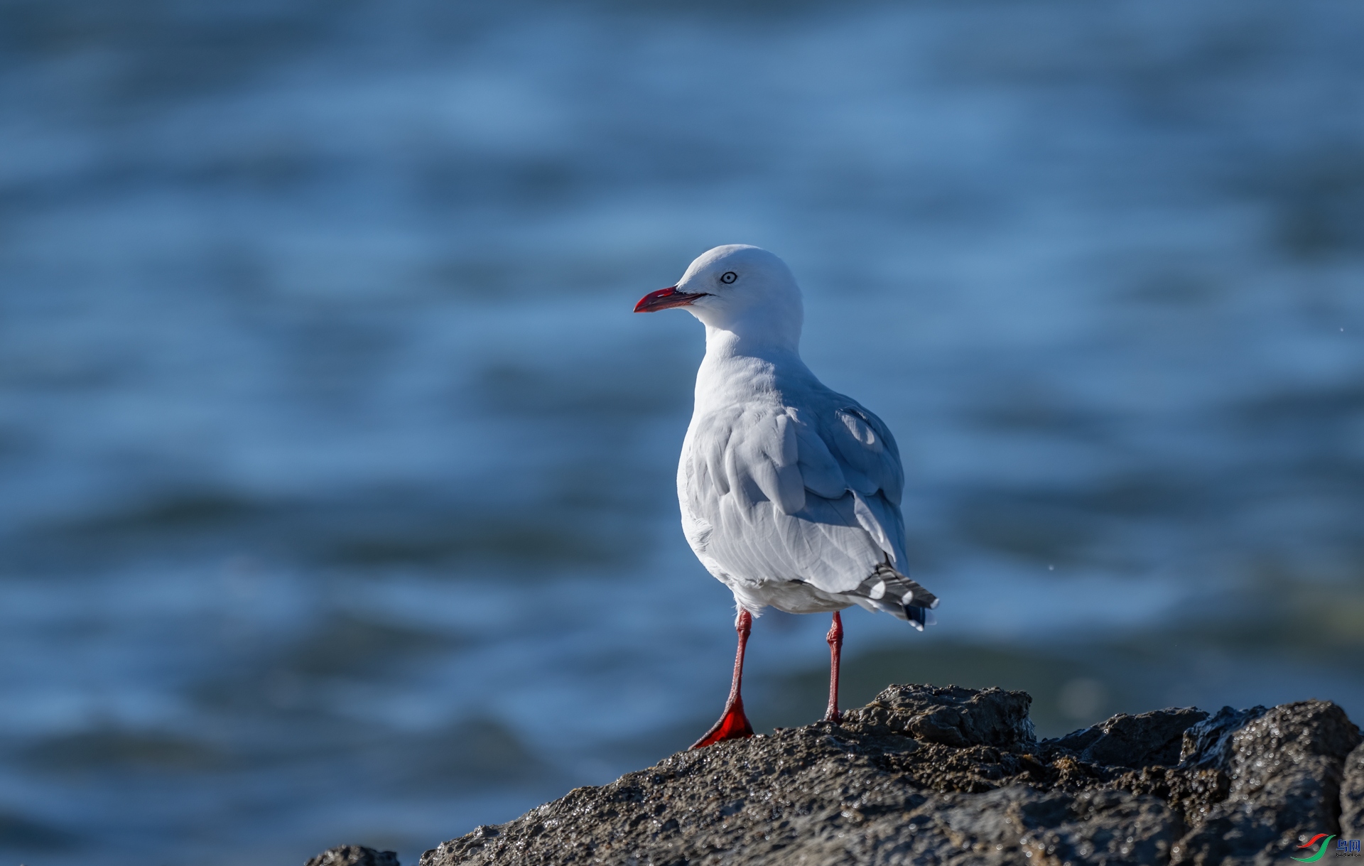 DSC_5527_1.jpg