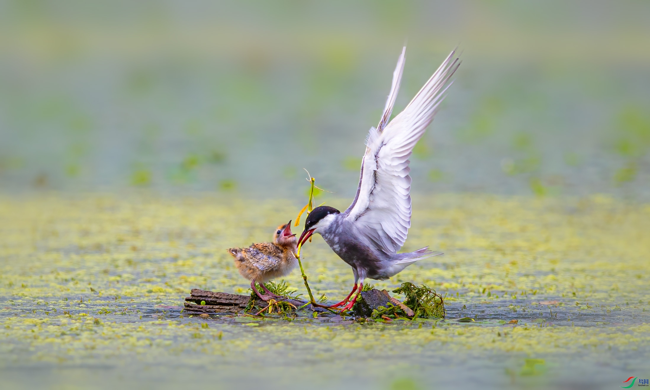AO7I3893.jpg