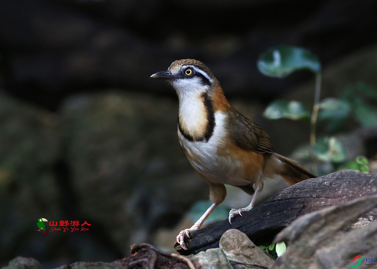 F00A5579.jpg