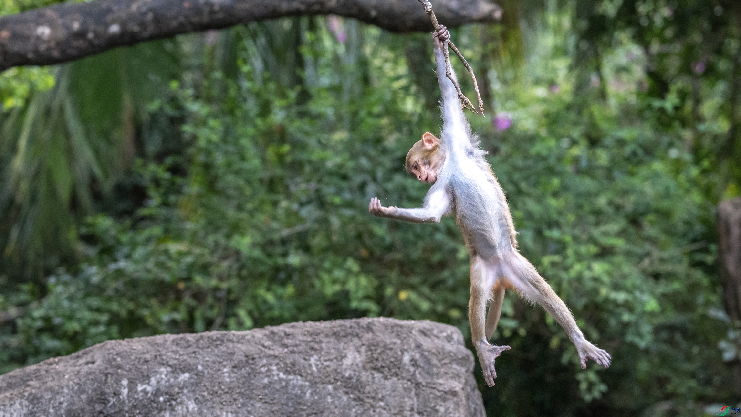 2782 ����.jpg