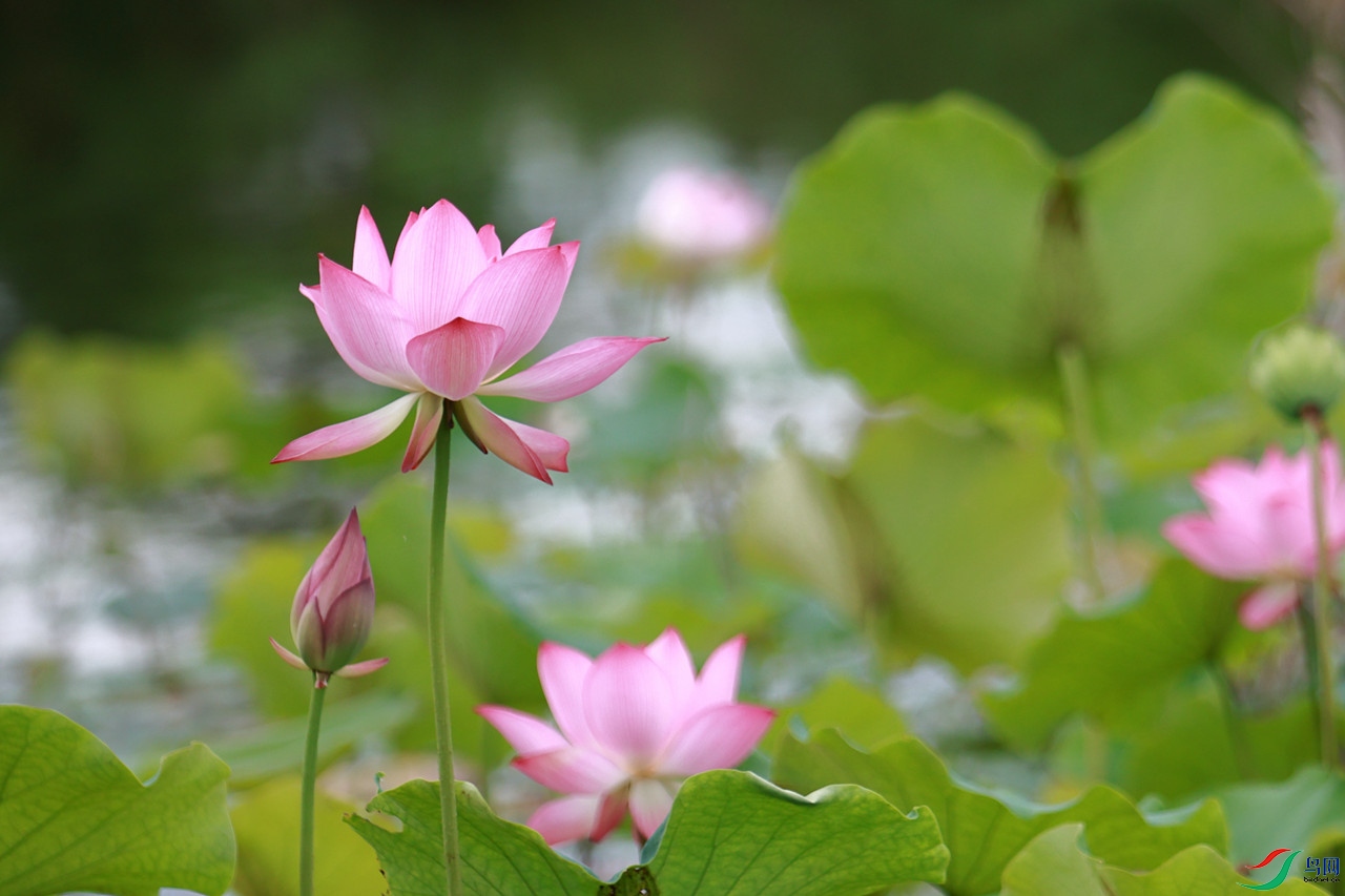 0-EOS_7110_����.jpg