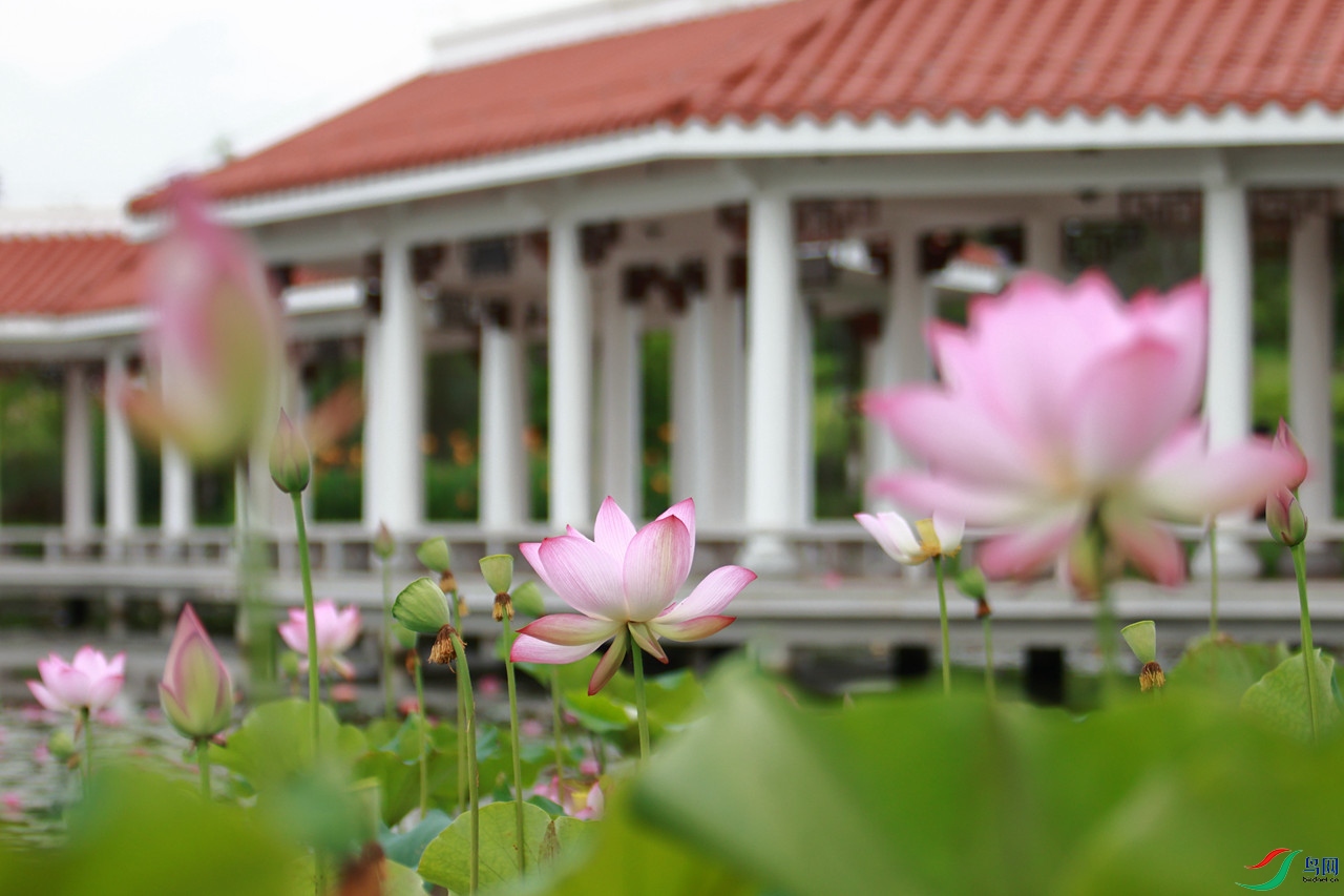 0-EOS_7147_����.jpg