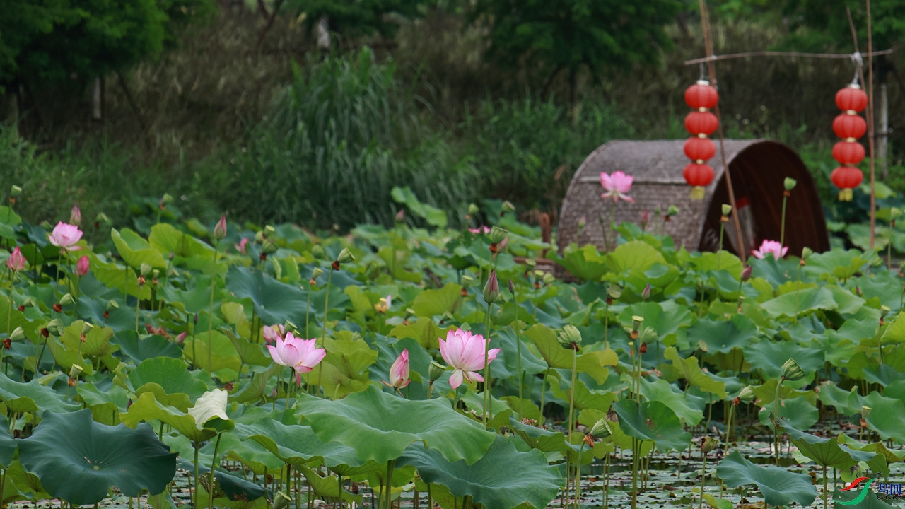 0-EOS_7160_����.jpg