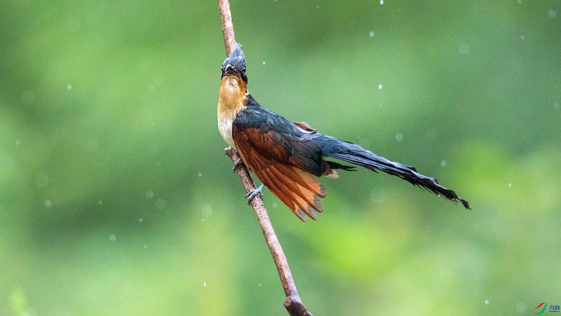 CI5A9900 - ���� - ����.jpg