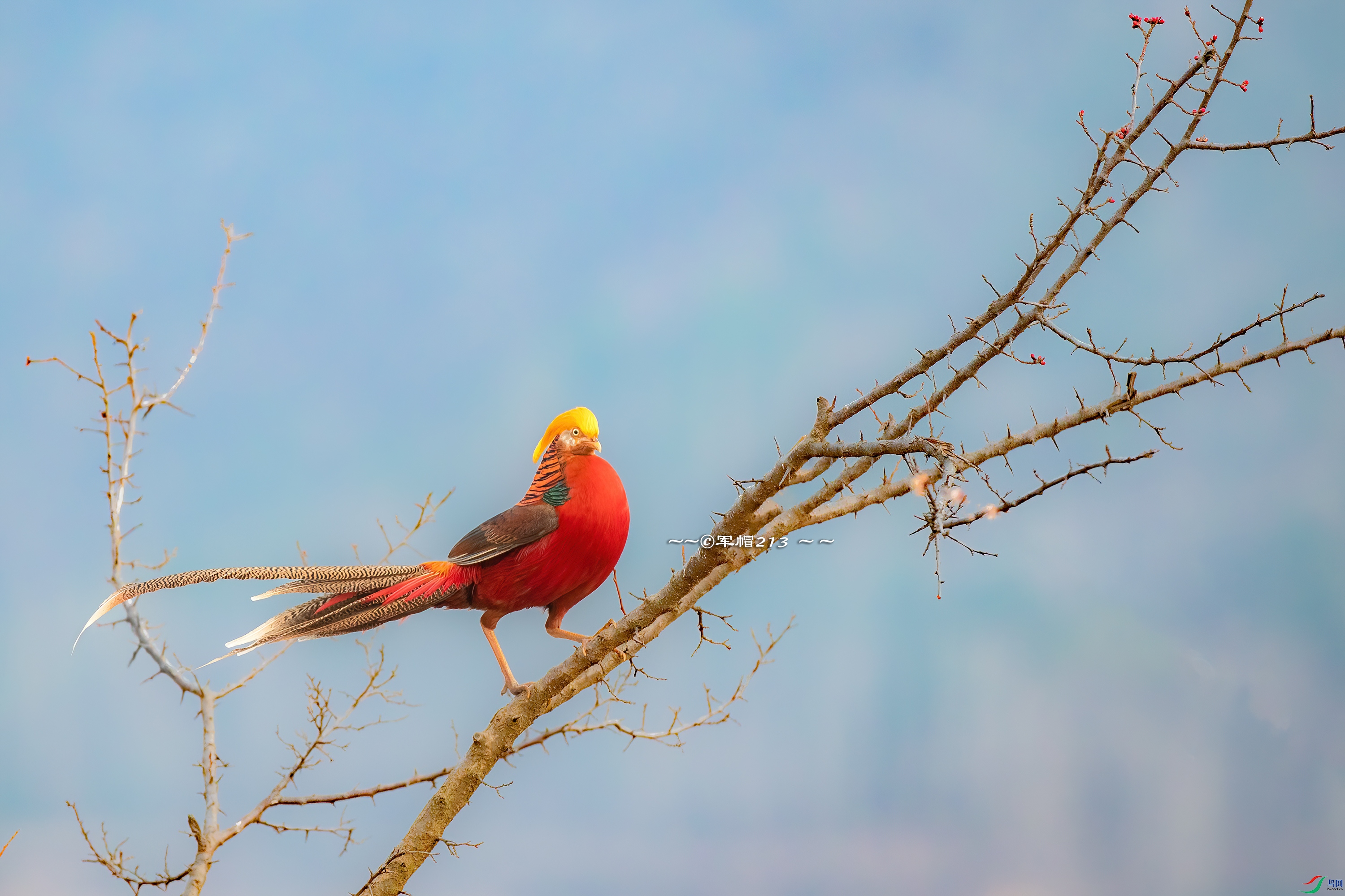 AY8I0940 ����.jpg