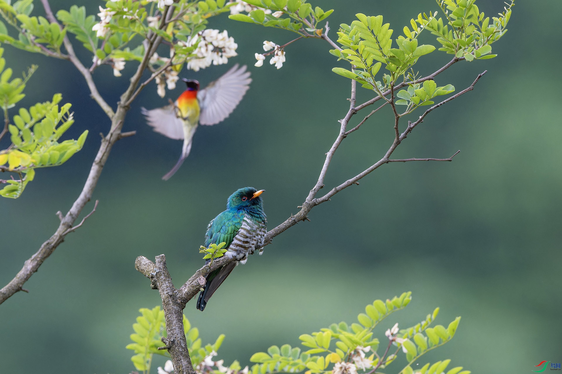 ΢��ͼƬ_20240609203310 ����.jpg