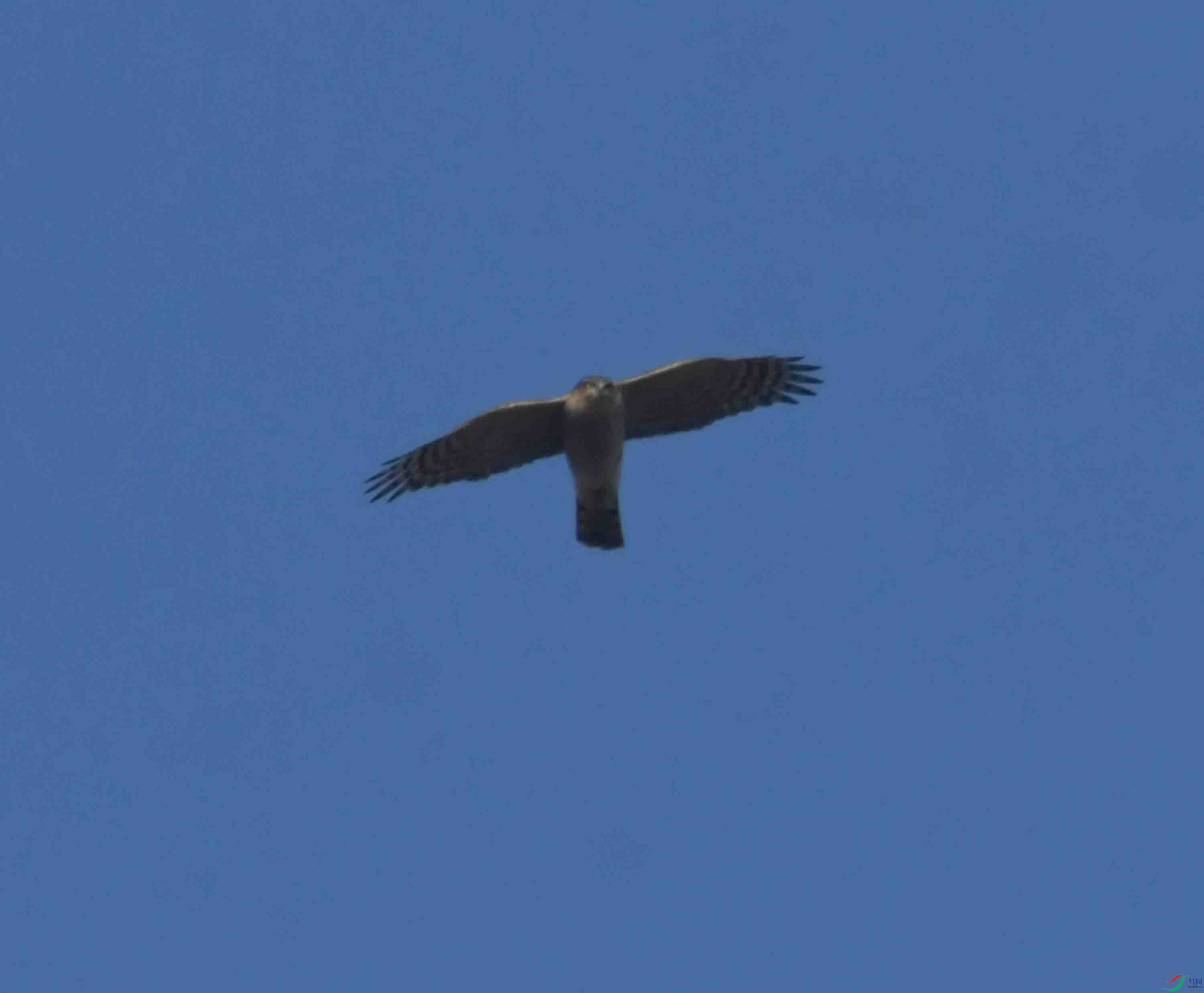 DSC_1586.JPG
