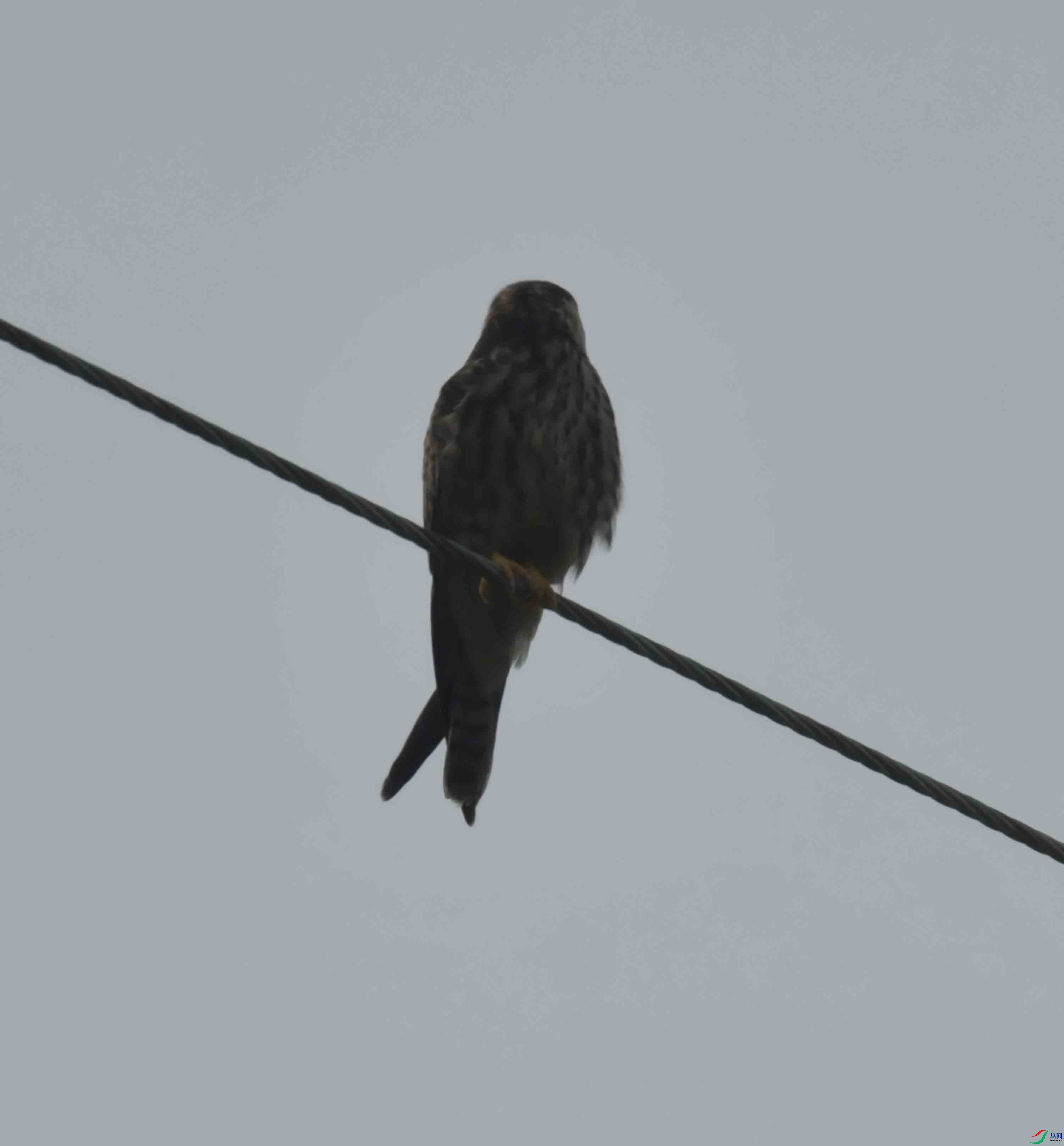 DSC_2256.JPG