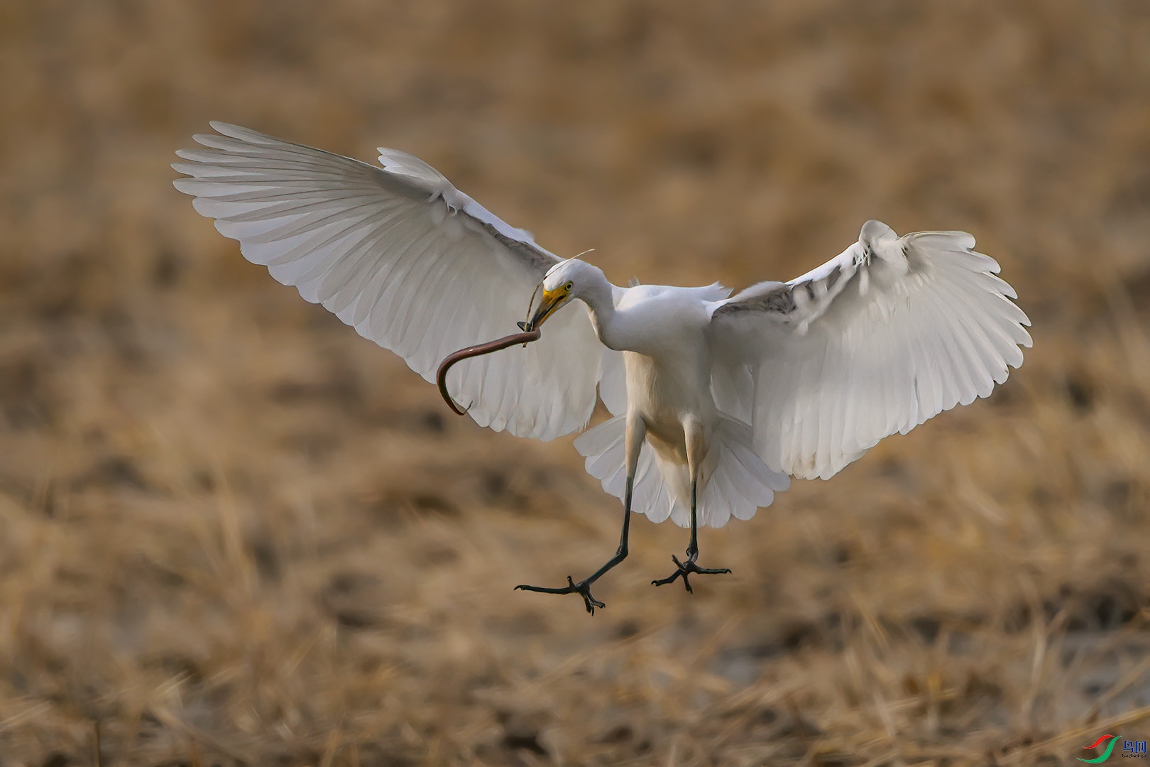 DSC_5403.jpg