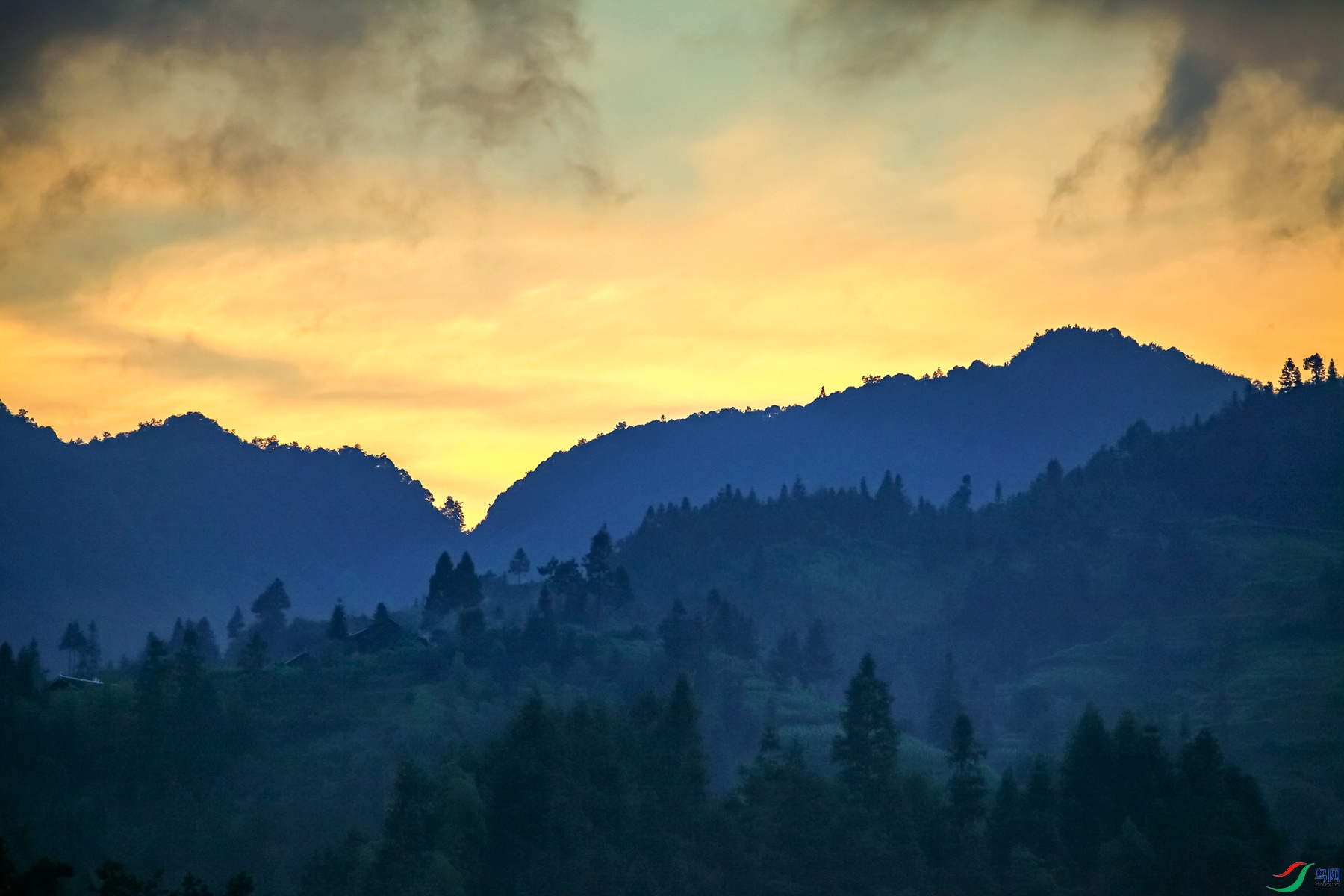 IMG_6247 ����_����.jpg