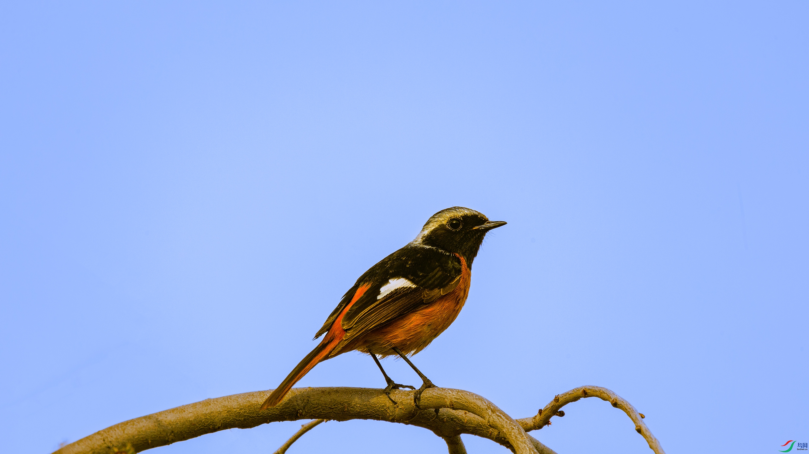 7X5A6210 ��6666.jpg