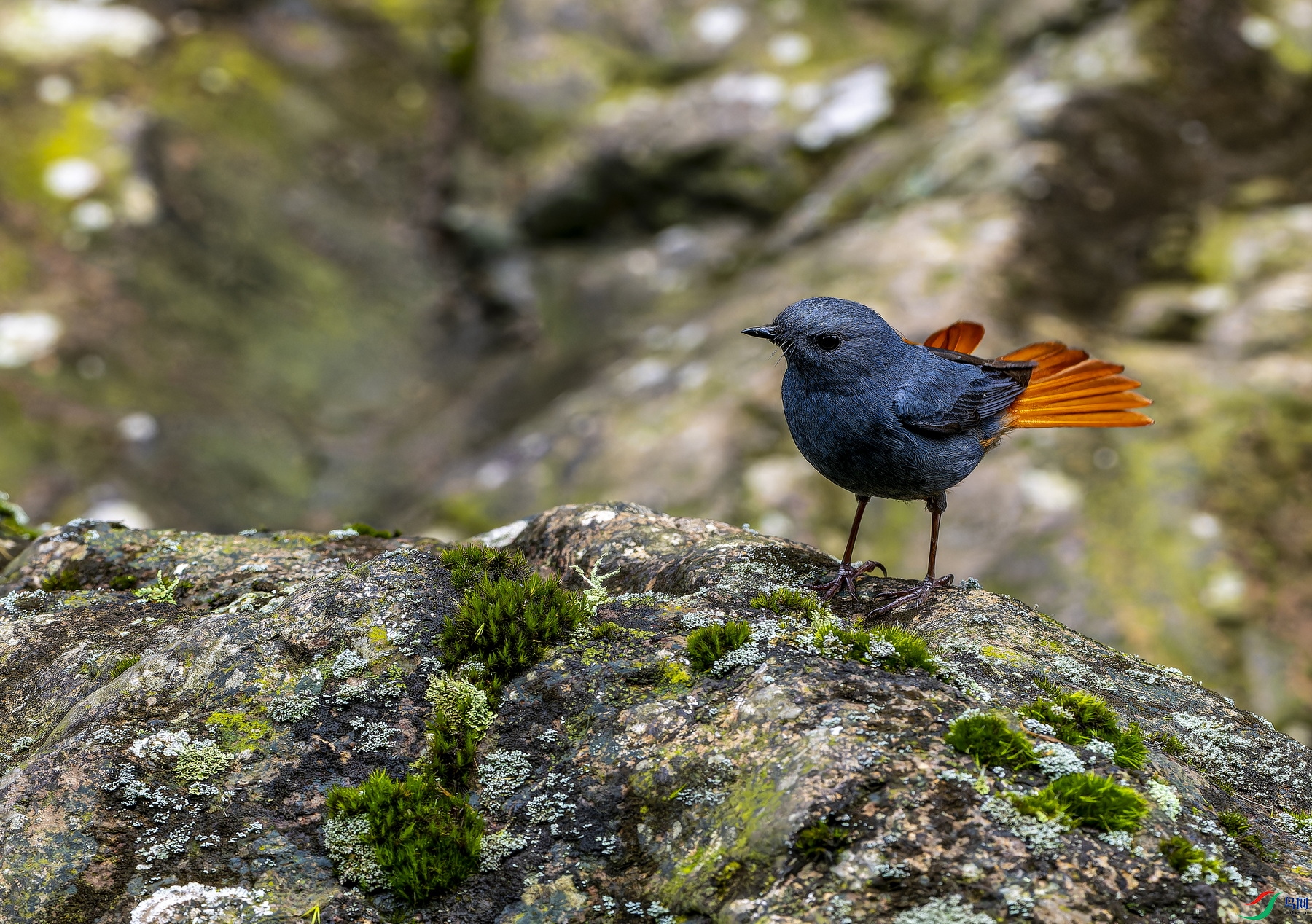 ��βˮ� (1)-1.jpg