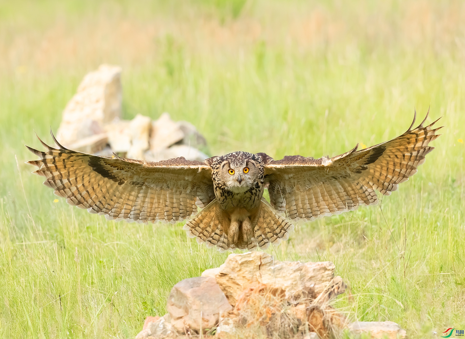 019A1346 ����.jpg