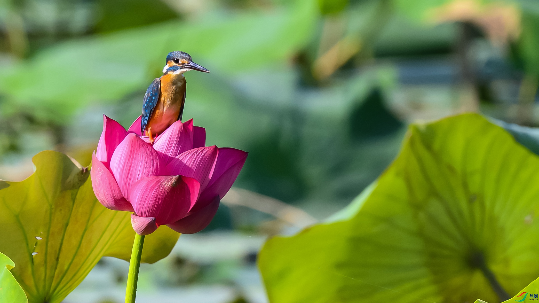 ���� ����.jpg