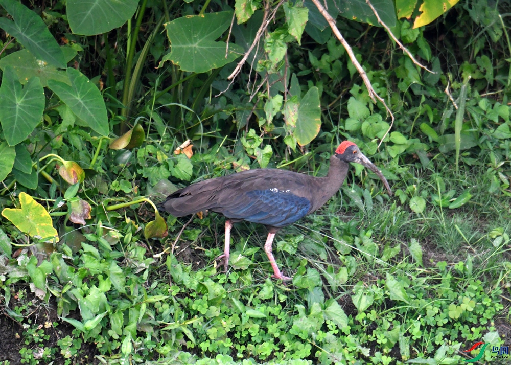 DSC_7252.jpg
