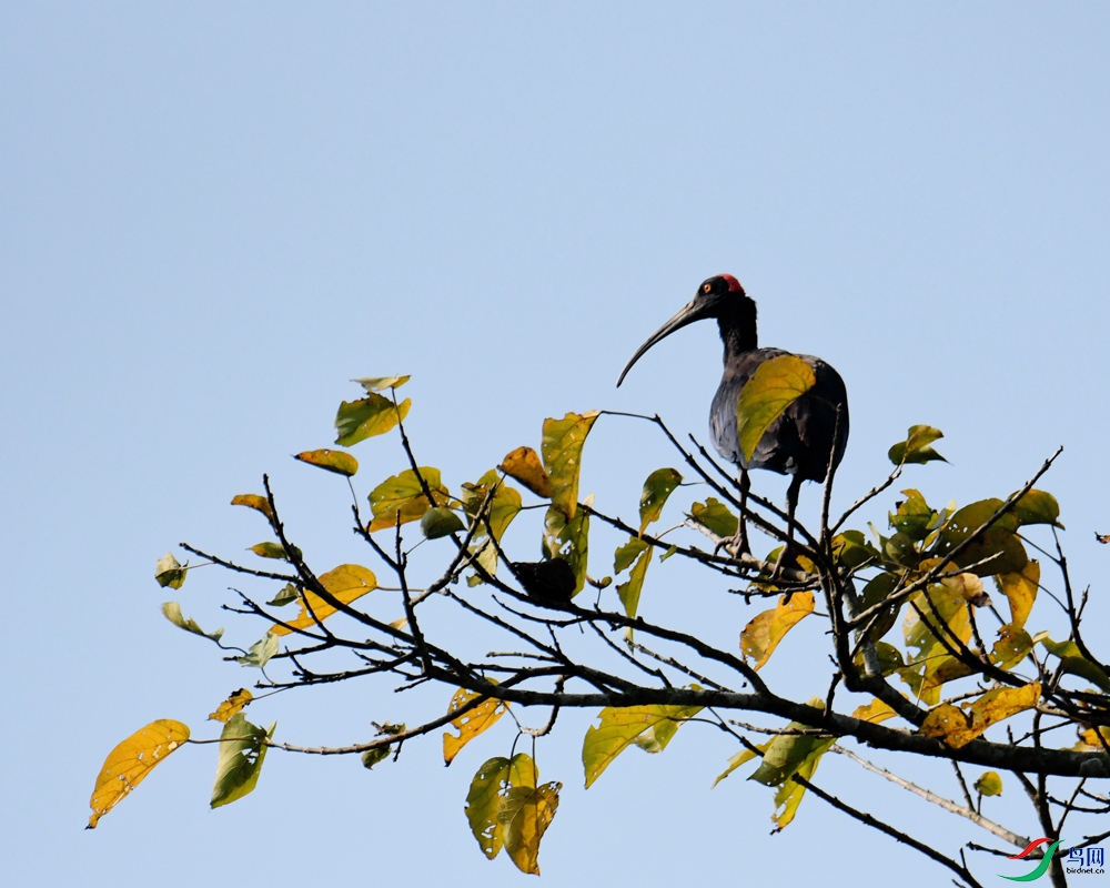 DSC_5656.jpg