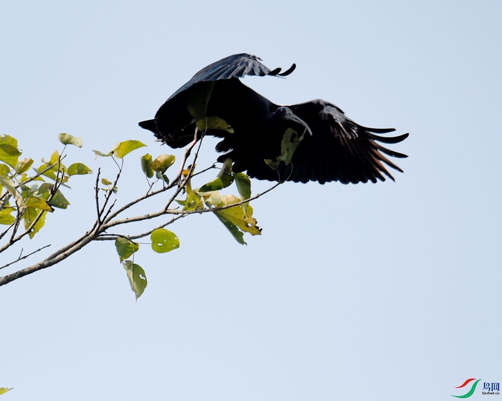 DSC_5676.jpg